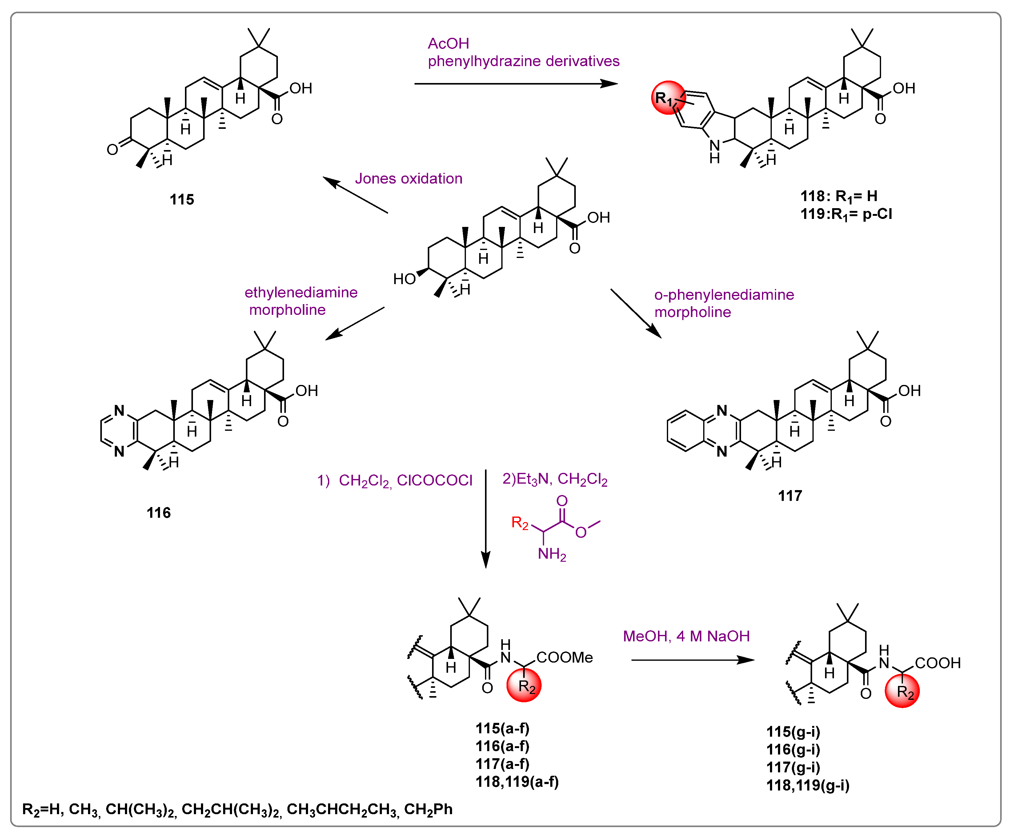 Molecules 29 03091 sch021