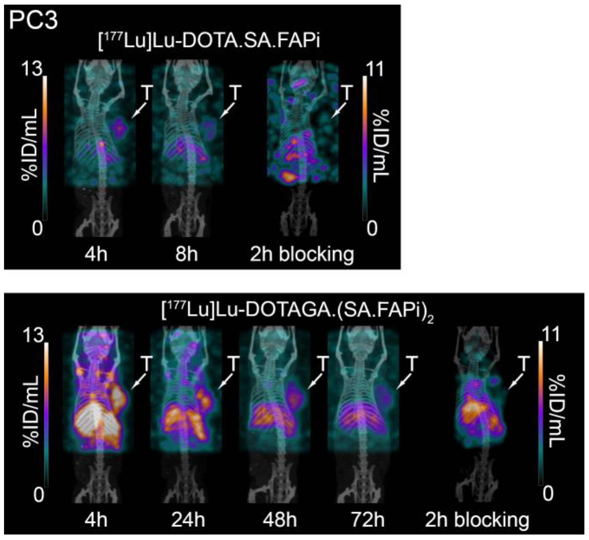 Molecules 29 03093 g011