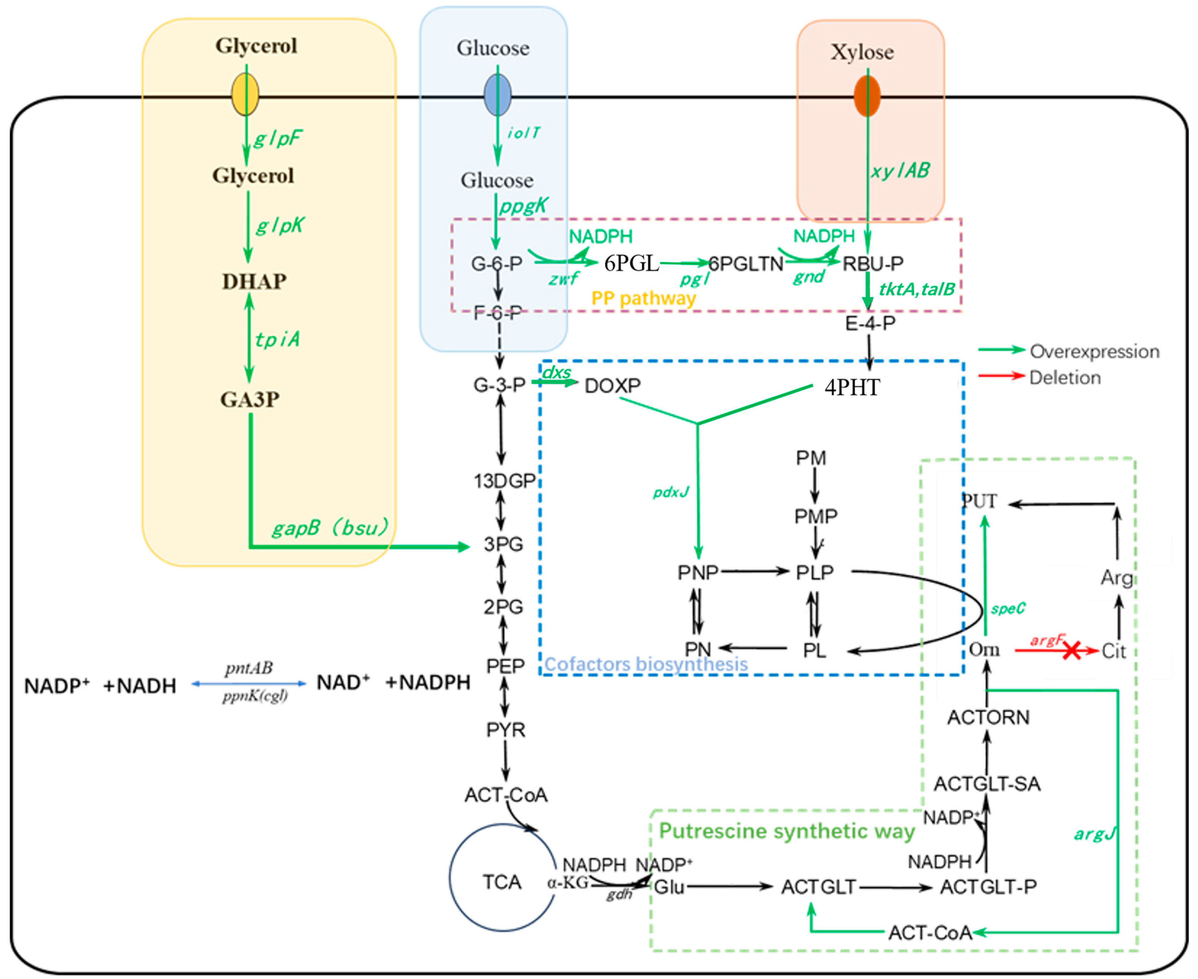 Molecules 29 03094 g001
