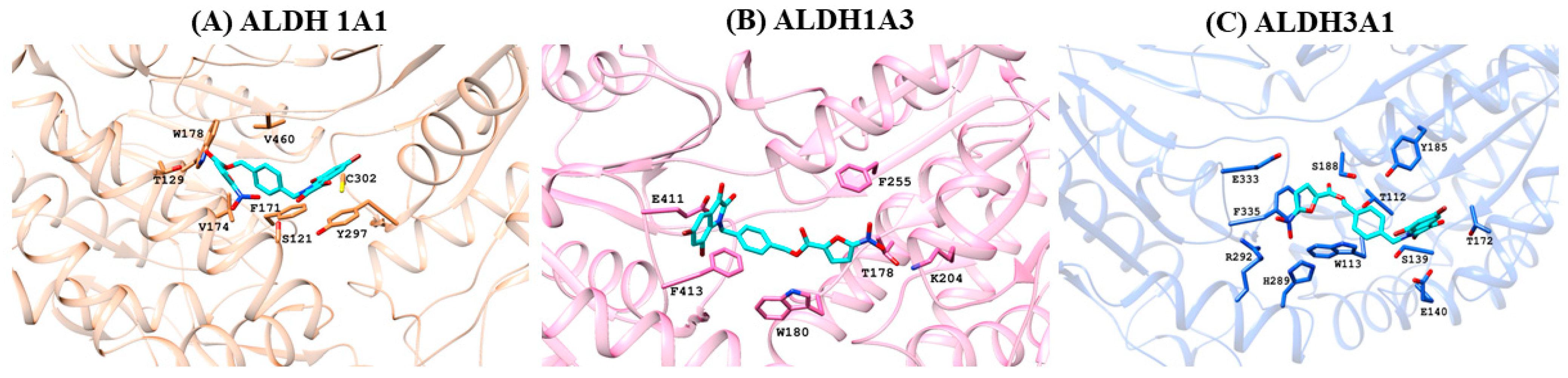 Molecules 29 03114 g002
