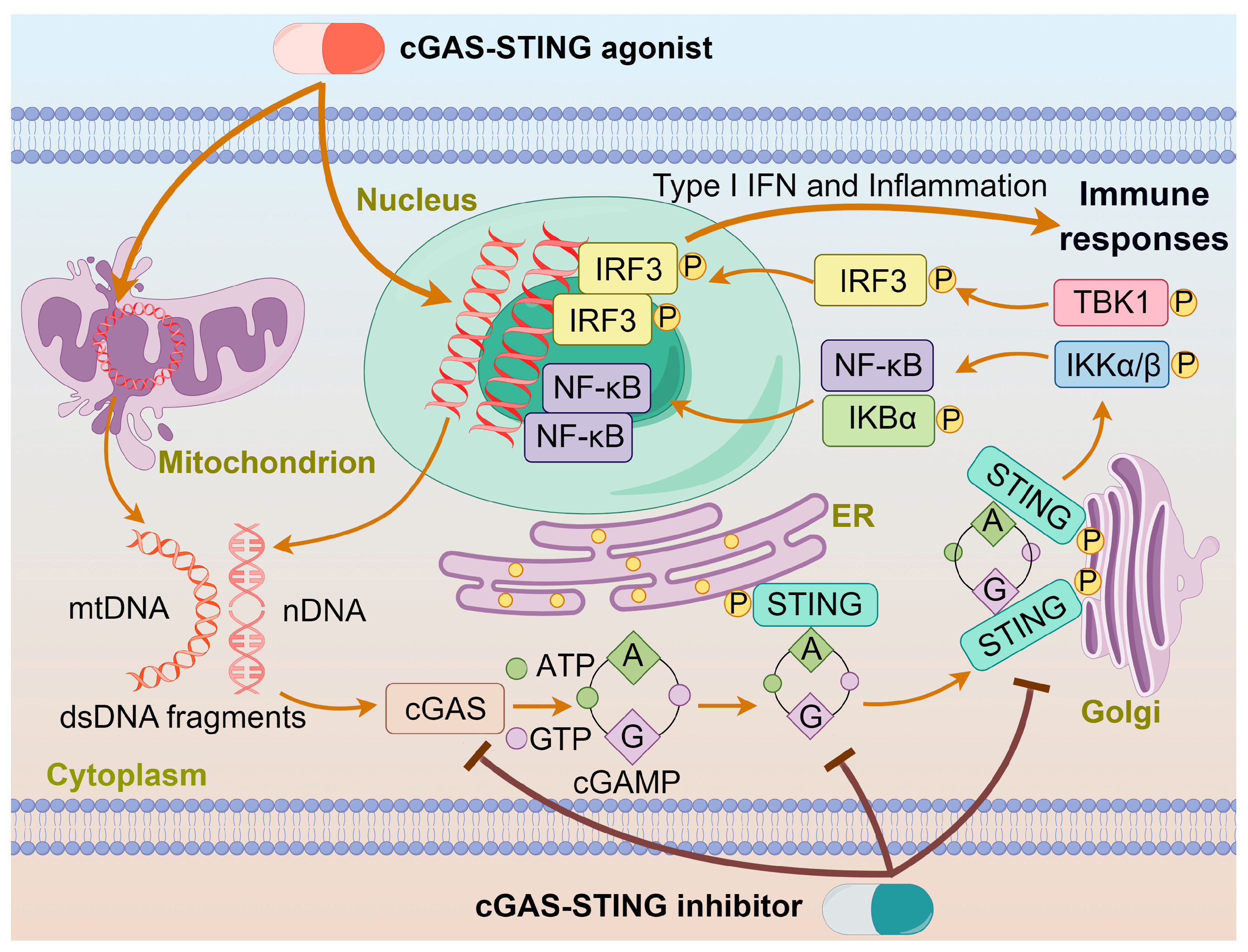Molecules 29 03121 g001