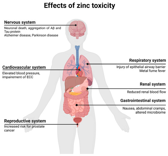 zinc side effects
