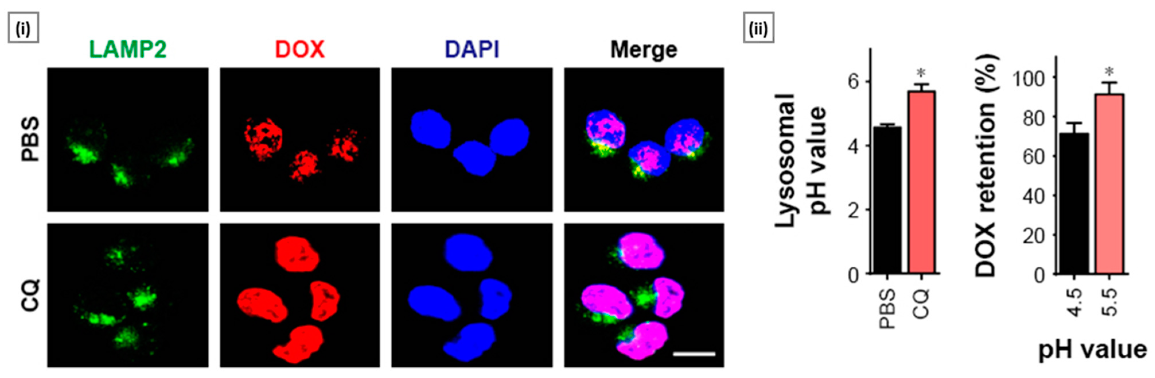 Molecules 29 03131 g003 Molecules 29 03131 g003