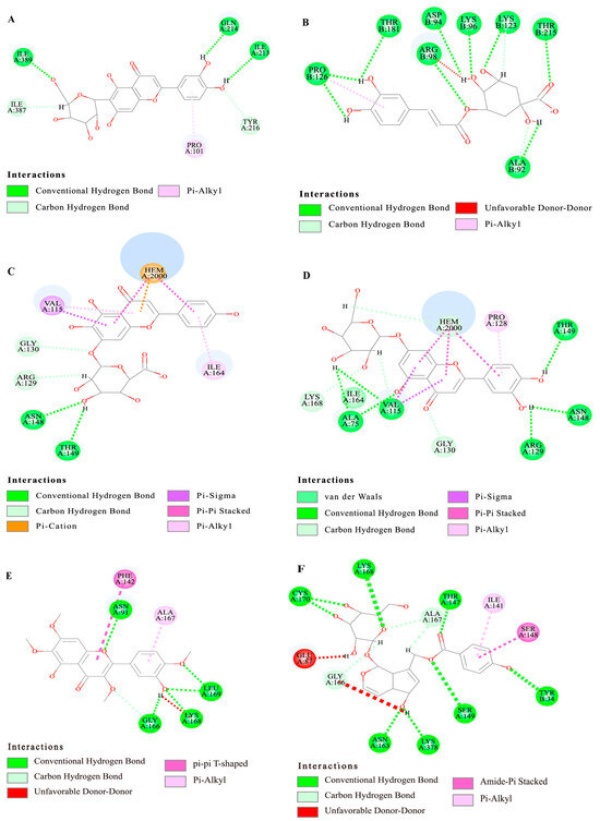 Analysis of Antioxidant Compounds in Vitex negundo Leaves Using Offline ...