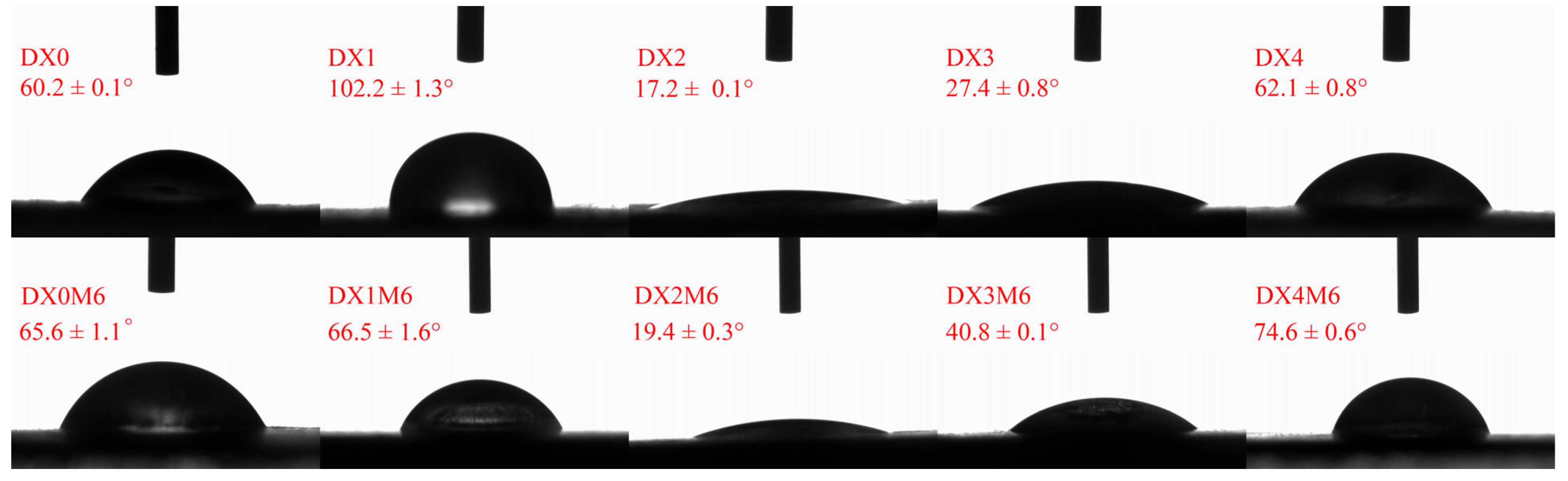 Molecules 29 03136 g006
