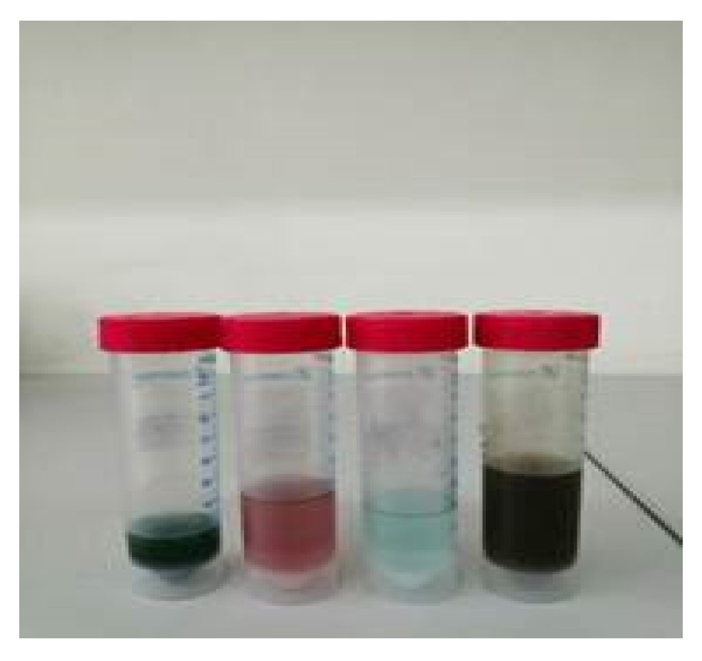 Molecules 29 03142 g008