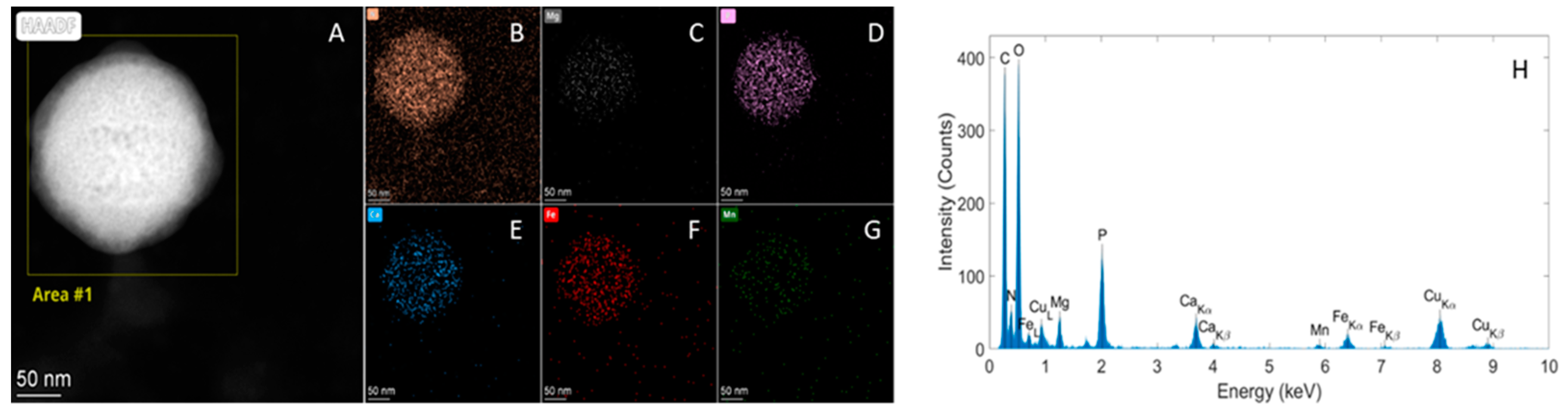 Molecules 29 03148 g007