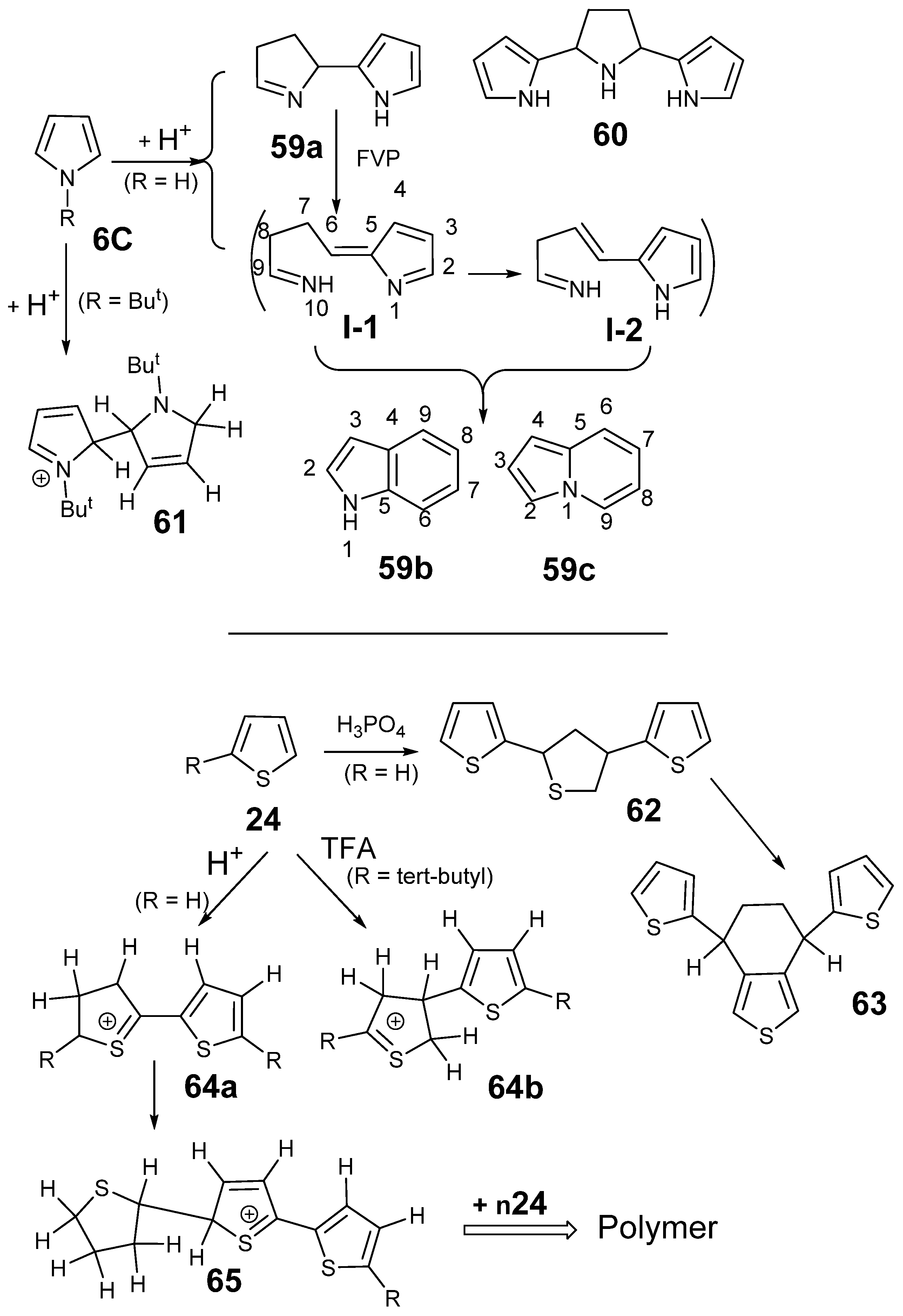 Molecules 29 03151 sch013 Molecules 29 03151 sch013