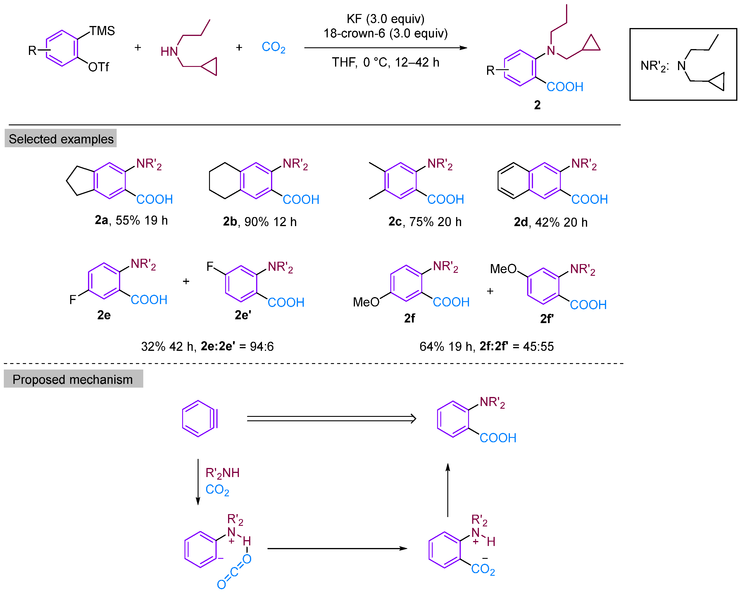 Molecules 29 03152 g004