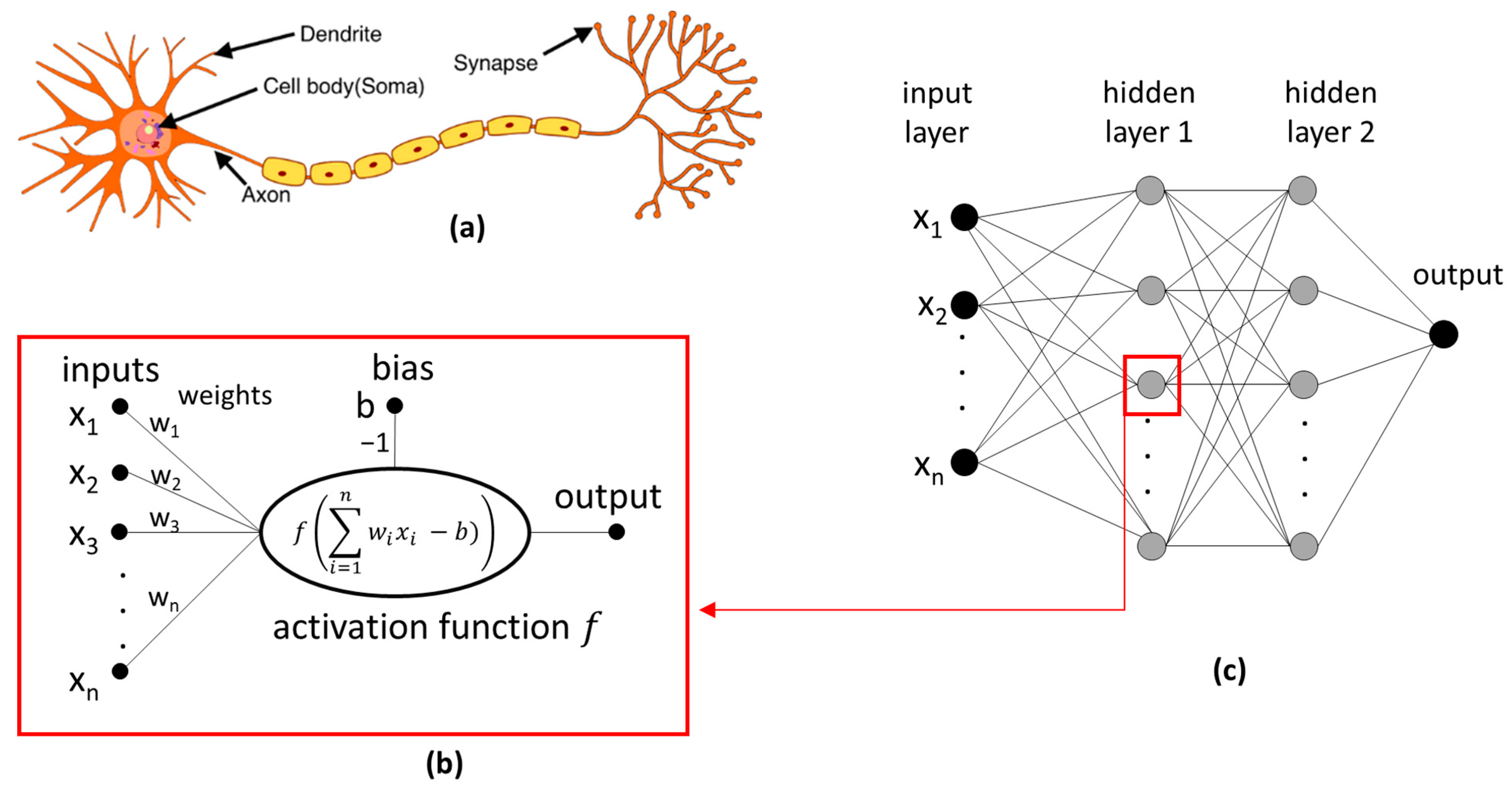 Molecules 29 03159 g003 Molecules 29 03159 g003