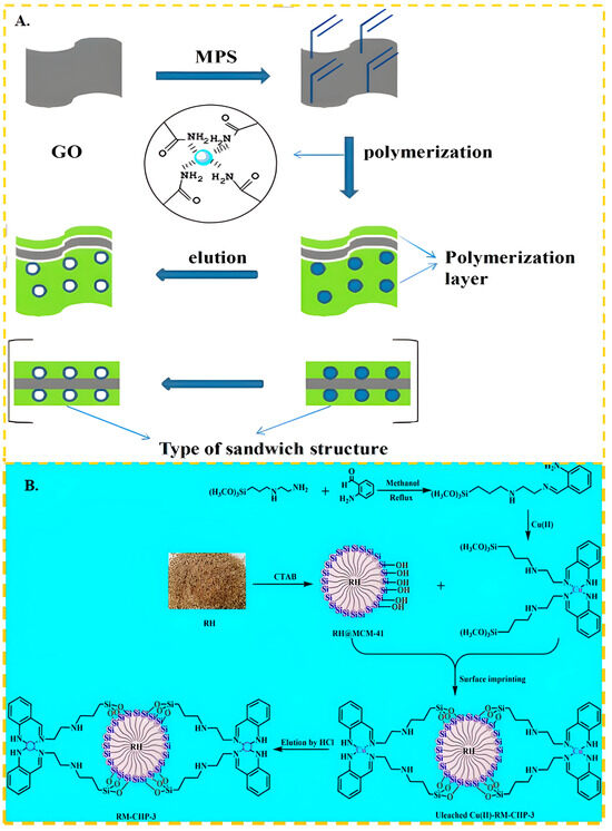 Application Prospect of Ion-Imprinted Polymers in Harmless