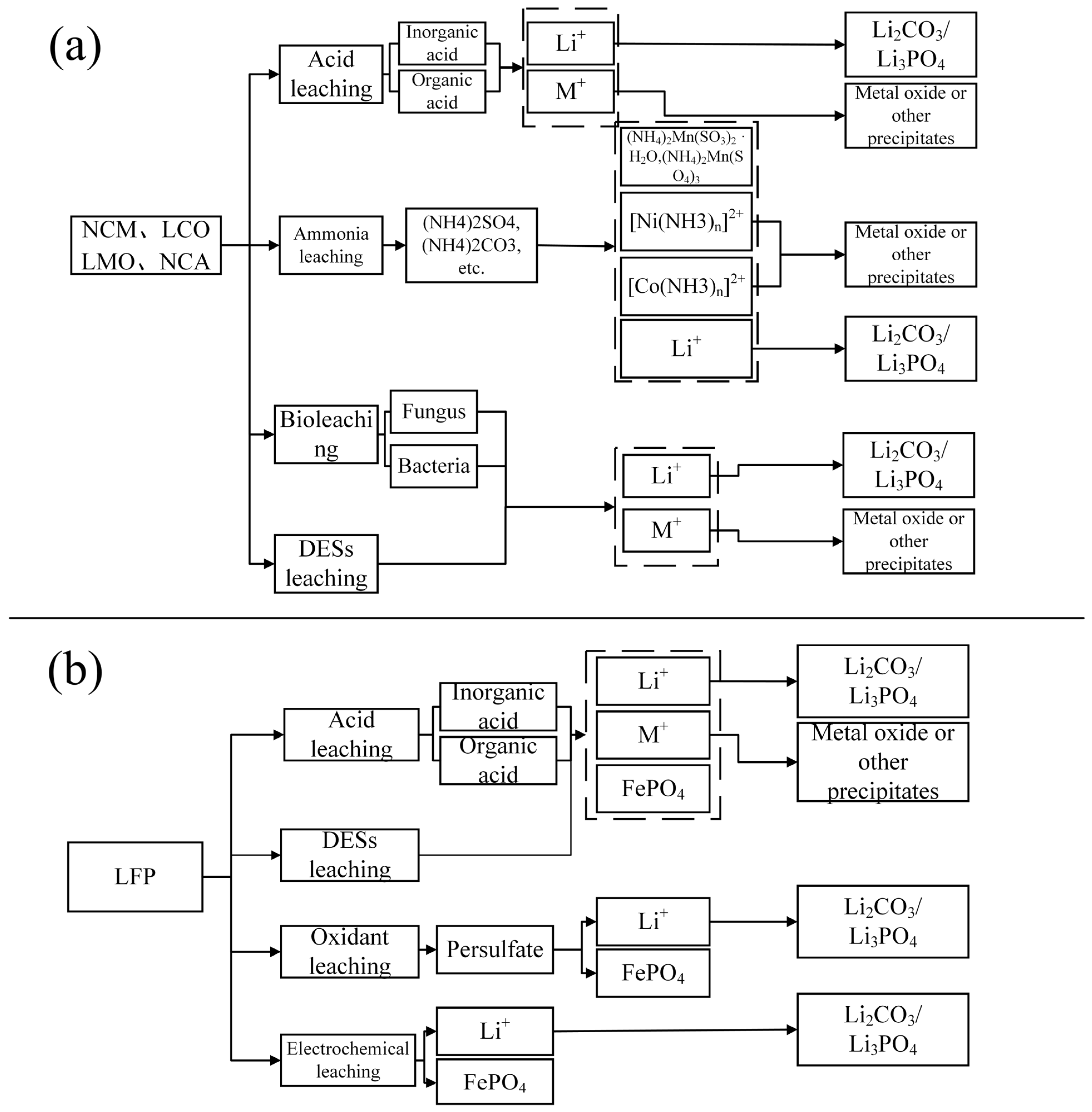 Molecules 29 03161 g011