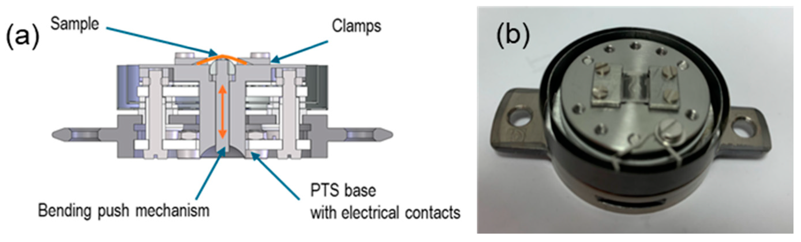 Molecules 29 03162 g010 Molecules 29 03162 g010