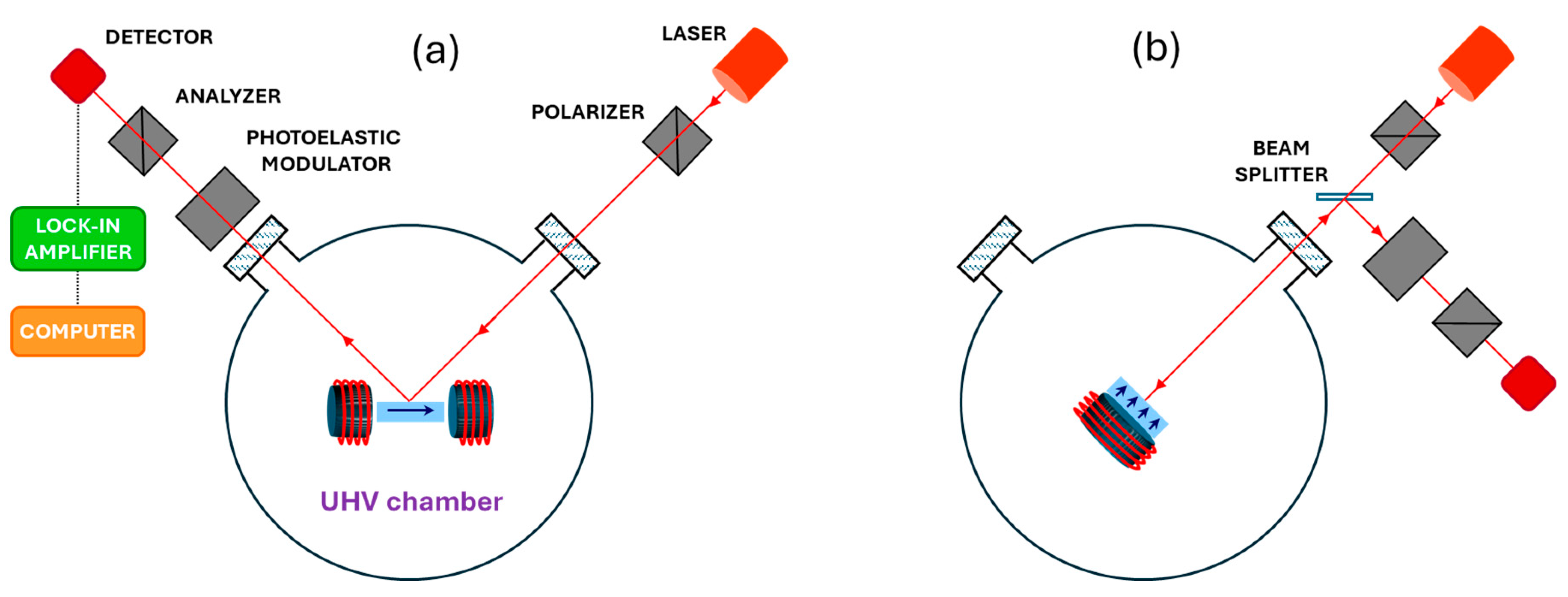 Molecules 29 03162 g013 Molecules 29 03162 g013