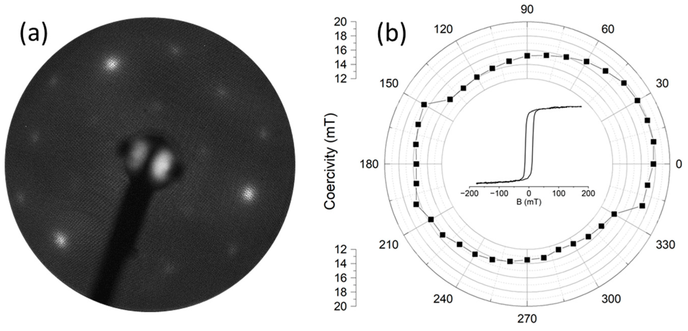 Molecules 29 03162 g016 Molecules 29 03162 g016