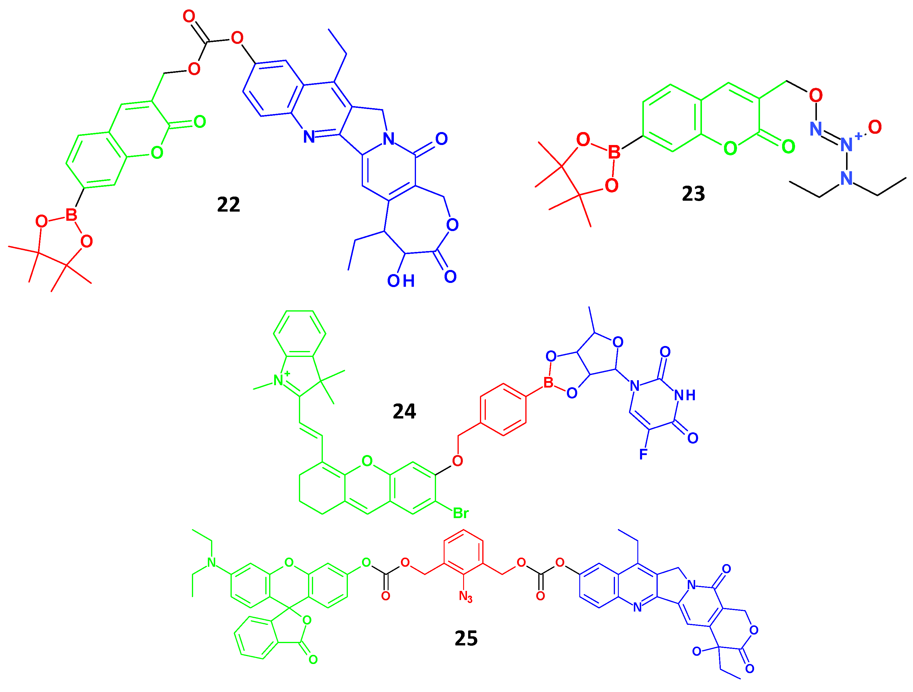 Molecules 29 03164 g006