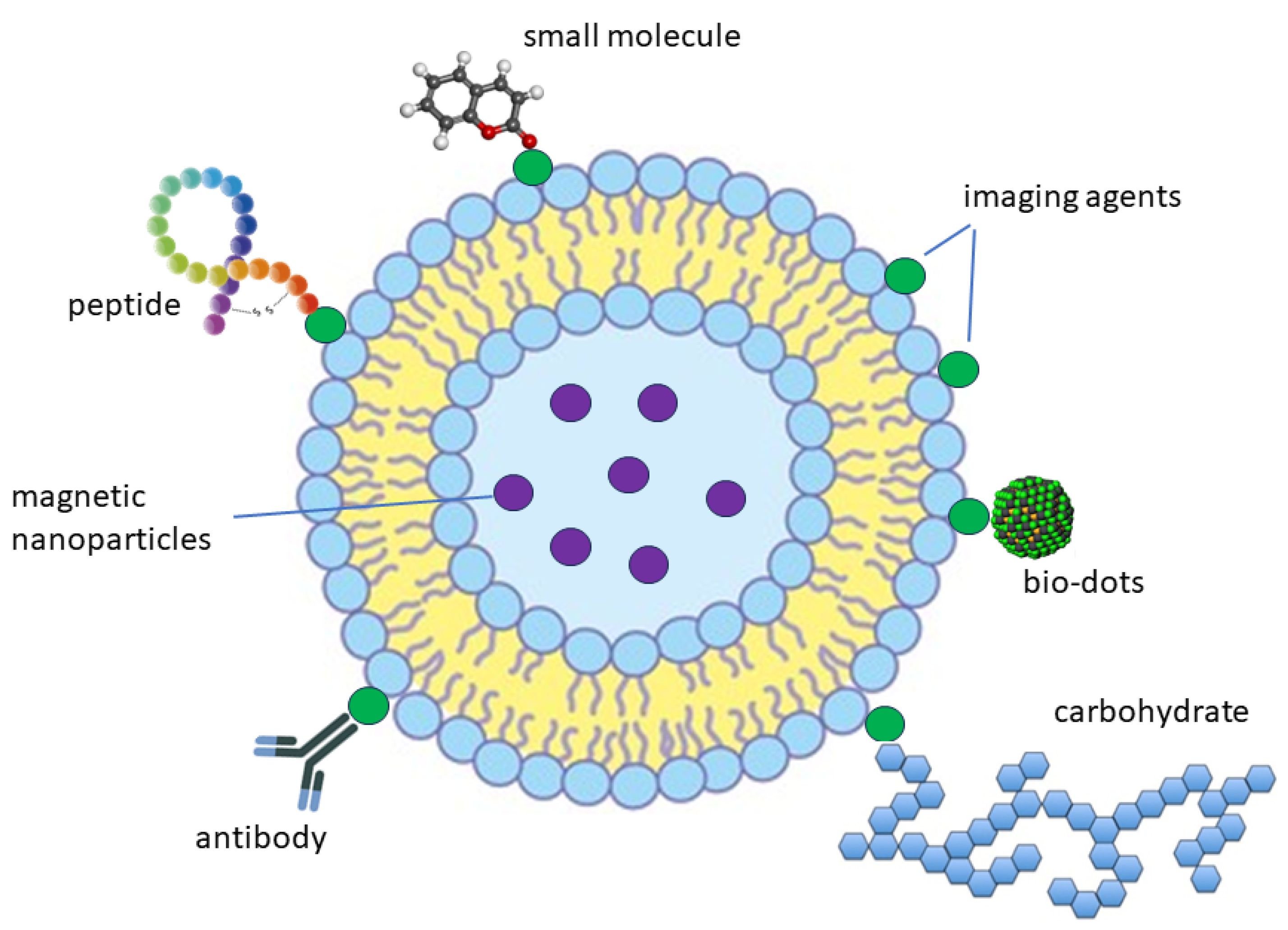 Molecules 29 03164 g009