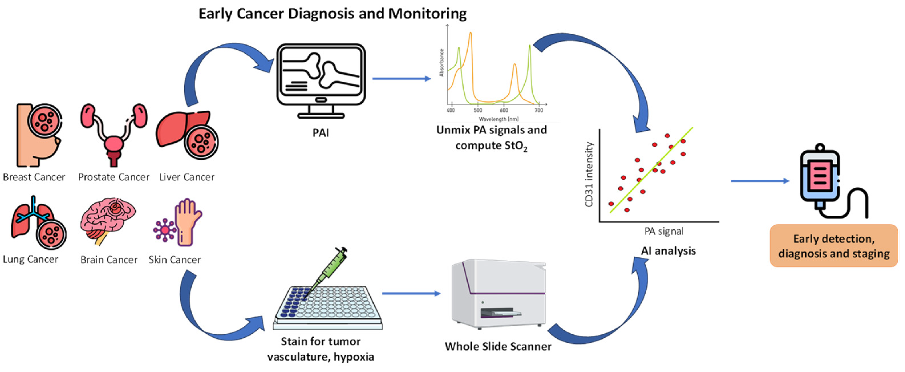 Molecules 29 03164 g012