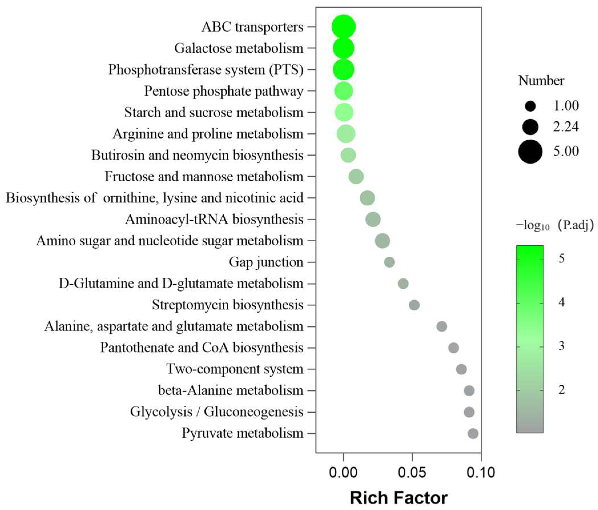 Molecules 29 03165 g006