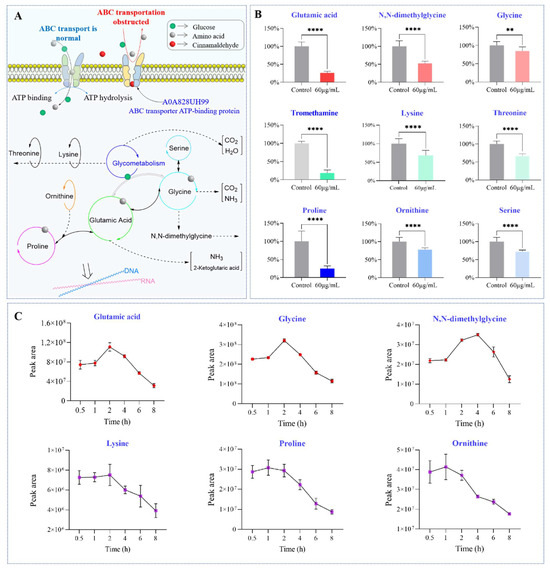 Study on Oleum cinnamomi Inhibiting Cutibacterium acnes and