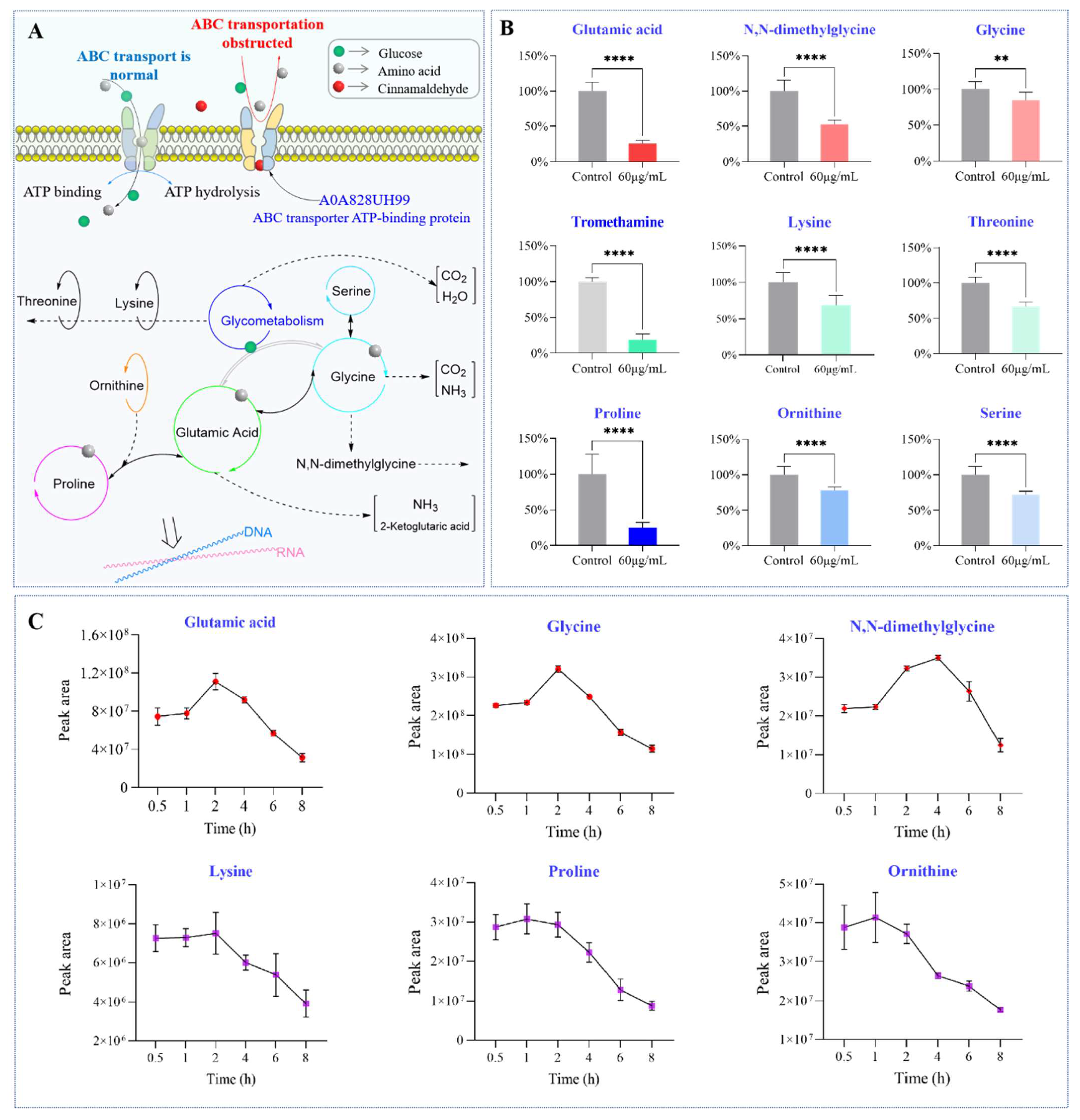 Molecules 29 03165 g008
