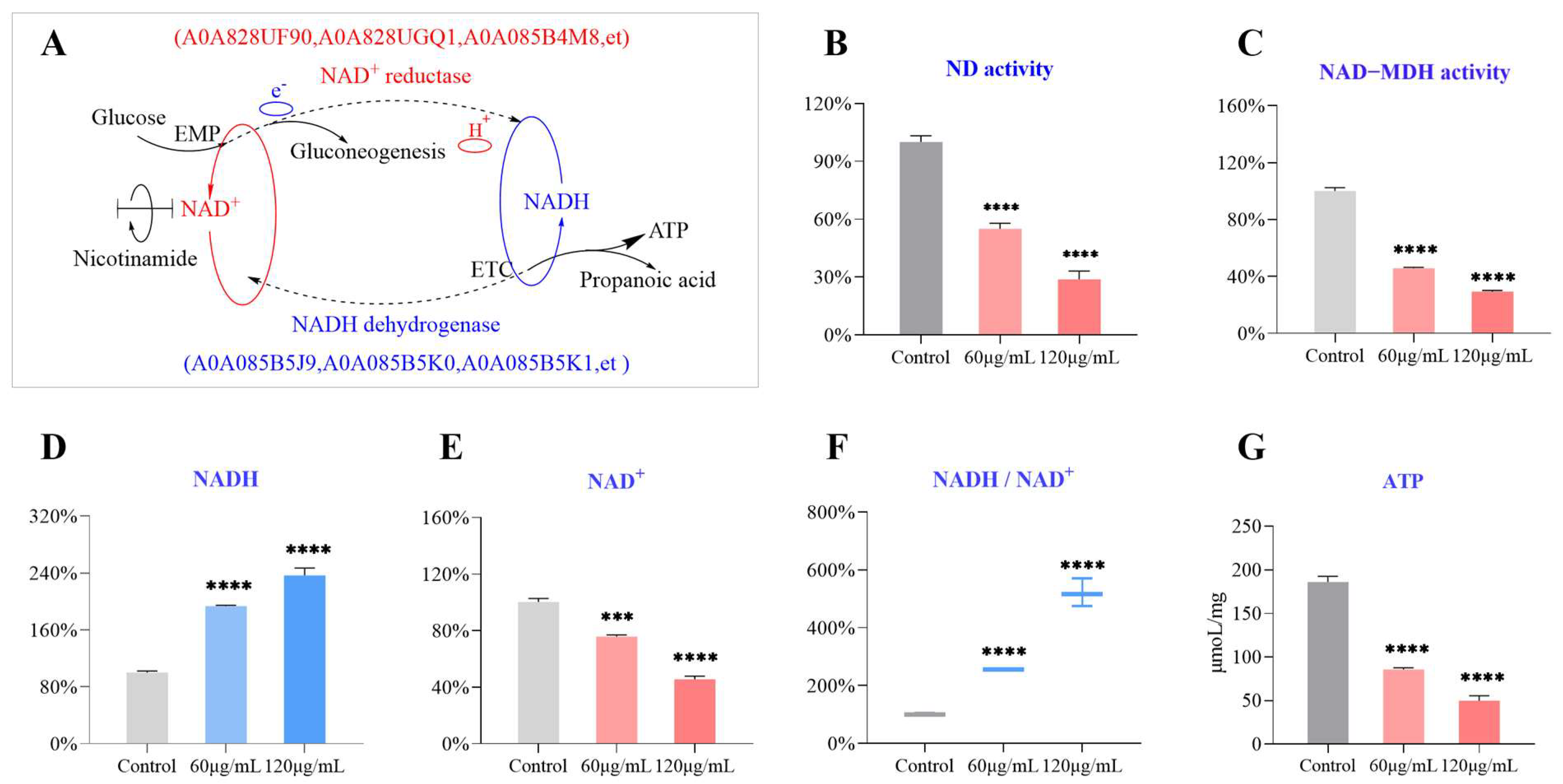 Molecules 29 03165 g009
