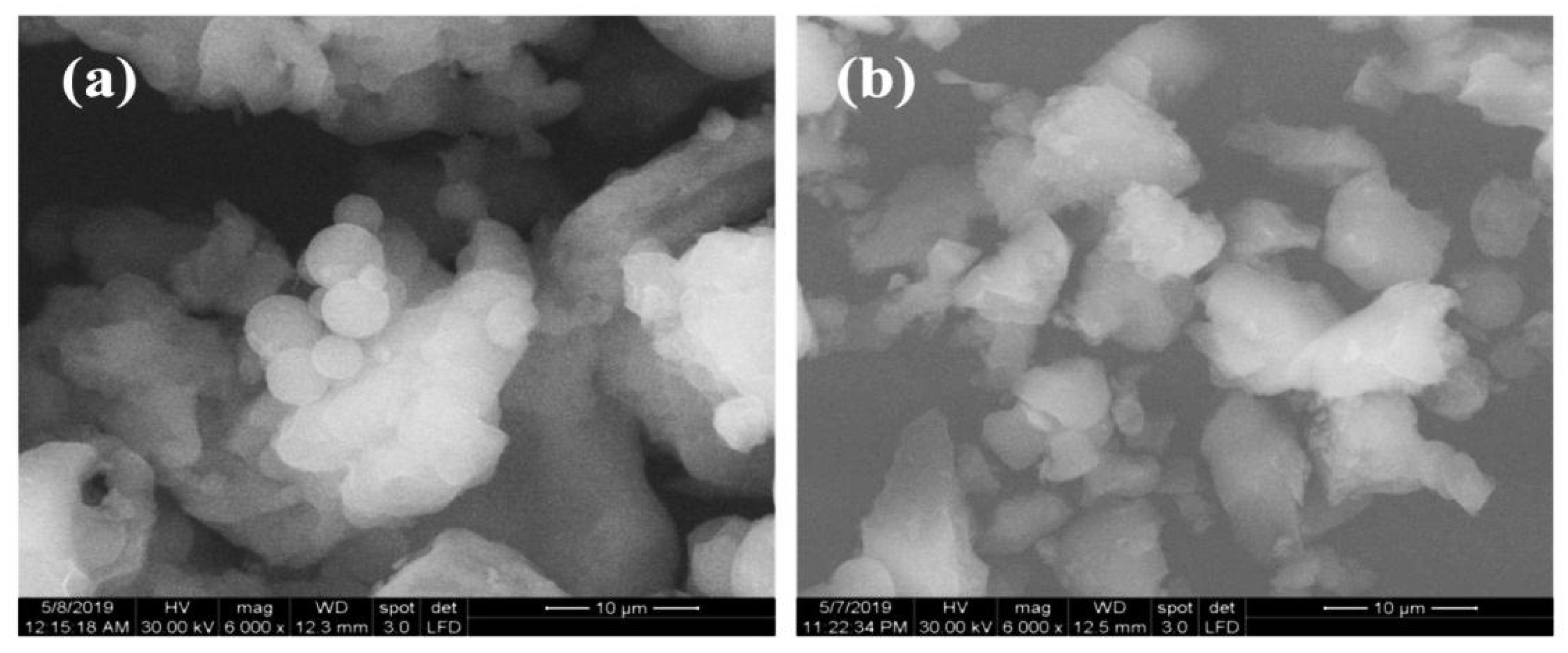 Molecules 29 03172 g004