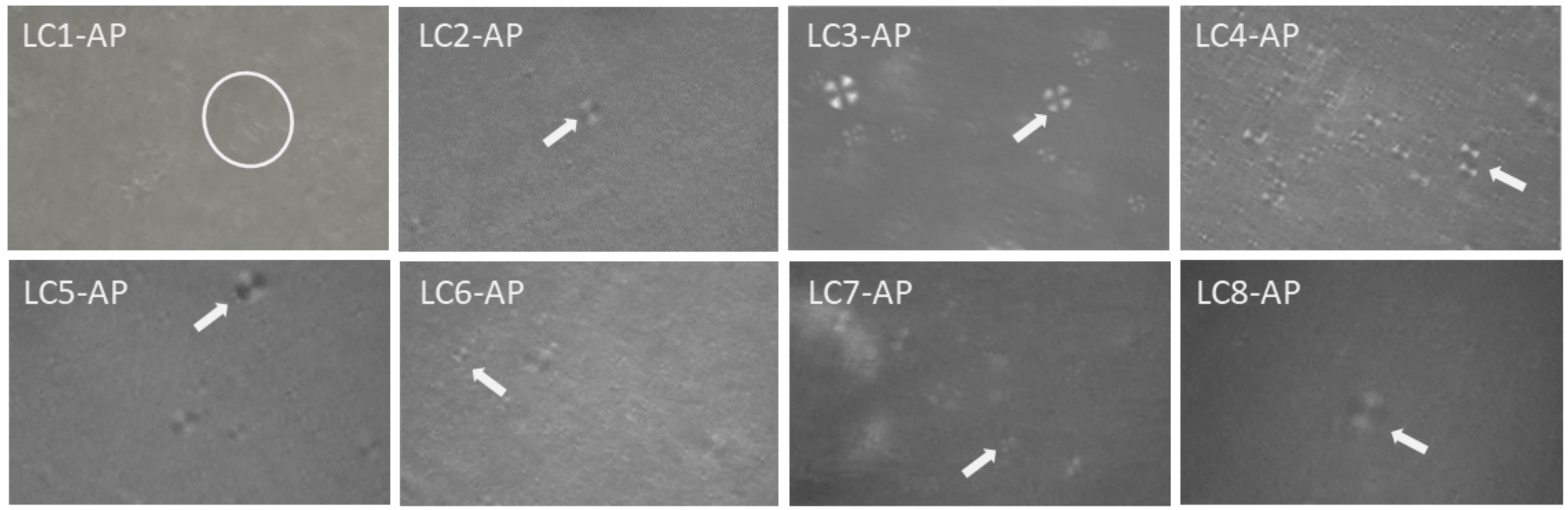 Molecules 29 03173 g003