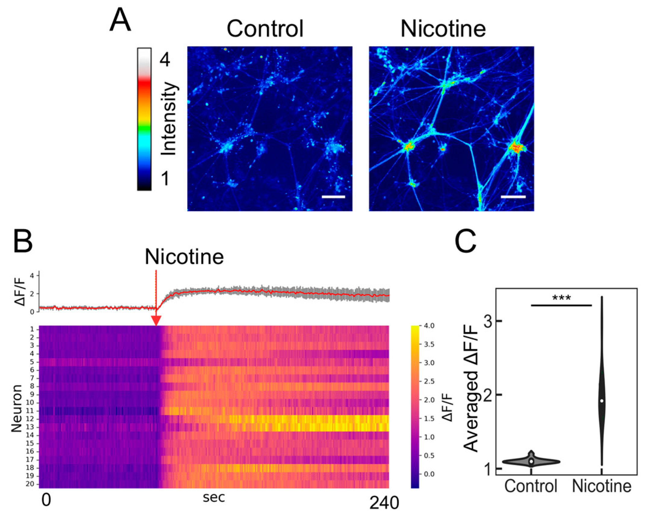 Molecules 29 03174 g003 Molecules 29 03174 g003