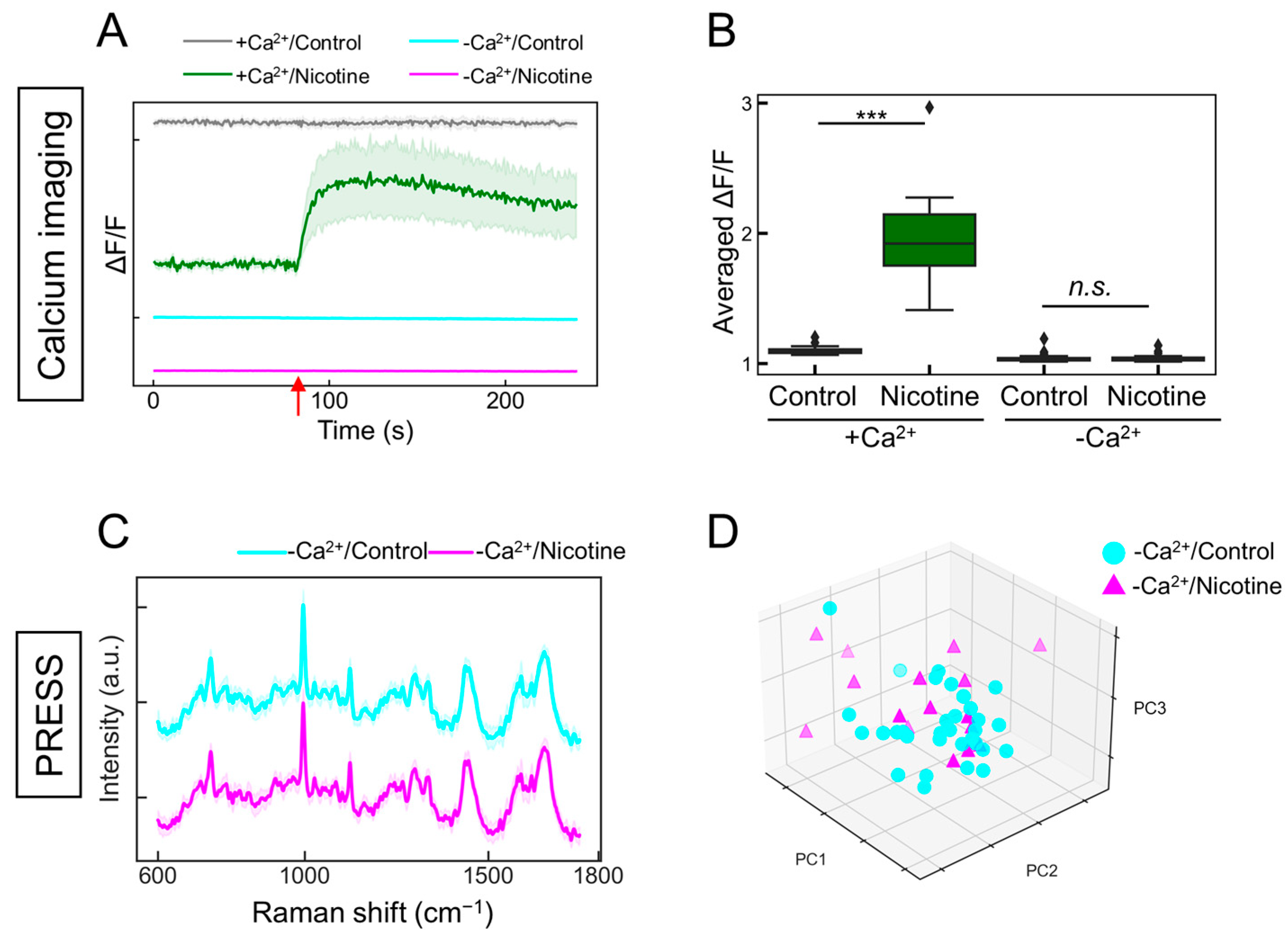 Molecules 29 03174 g005 Molecules 29 03174 g005