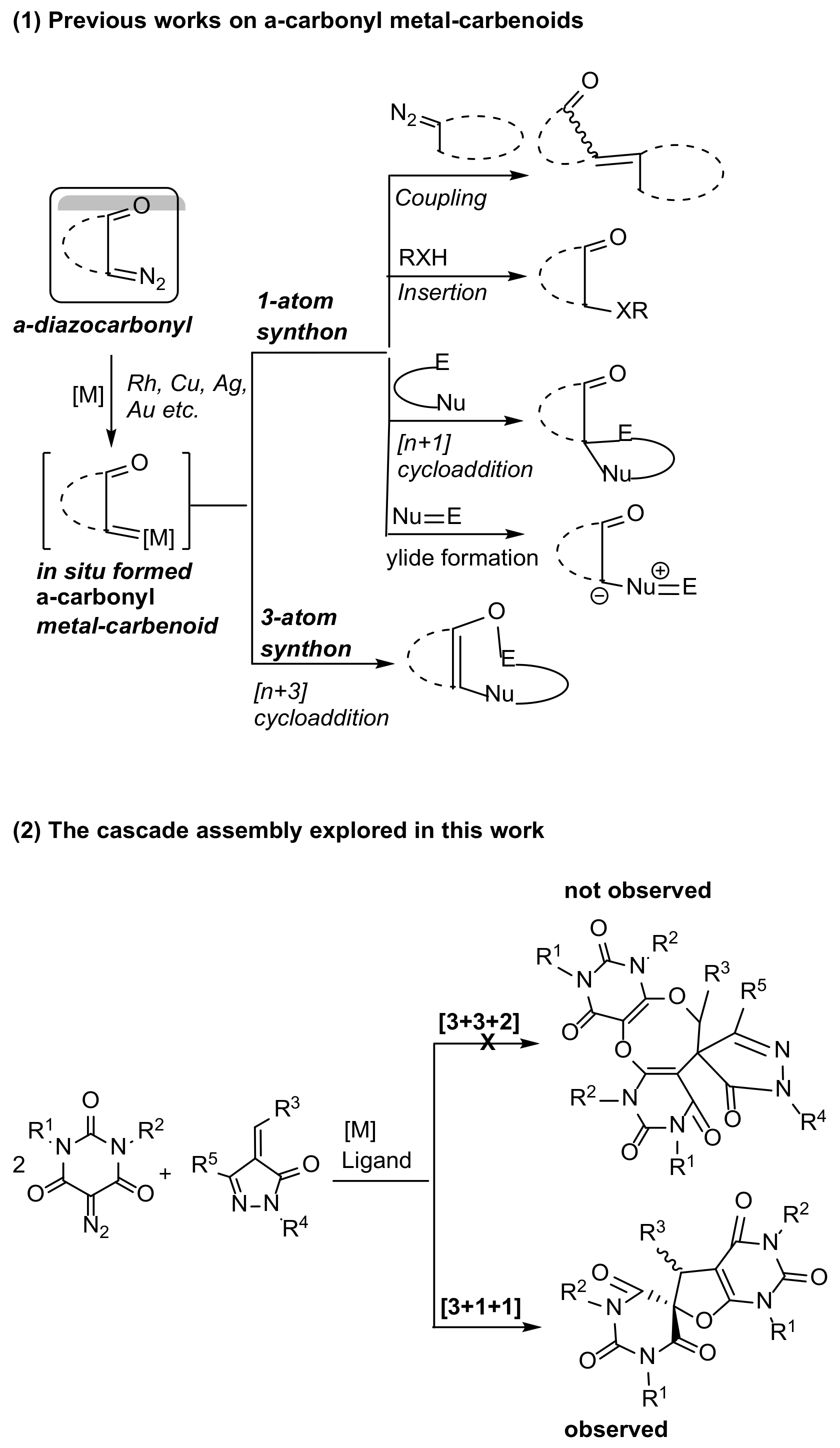 Molecules 29 03178 sch001 Molecules 29 03178 sch001