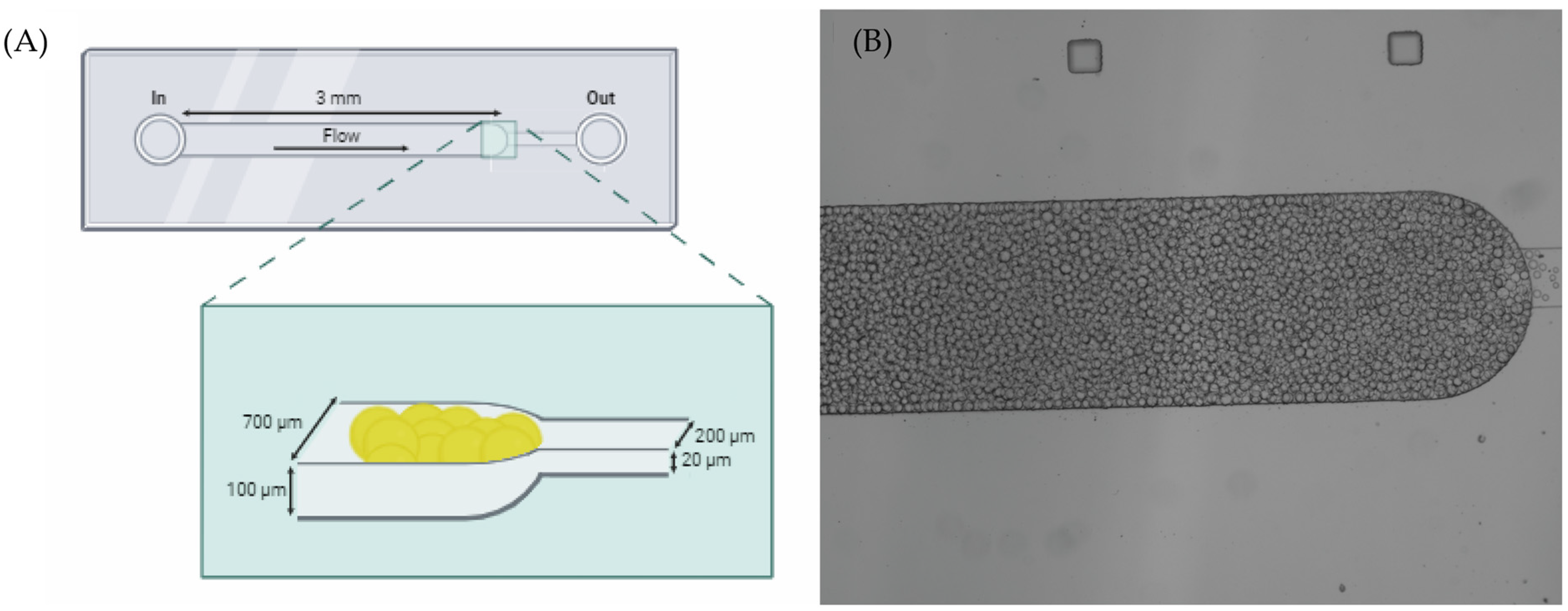 Molecules 29 03182 g005