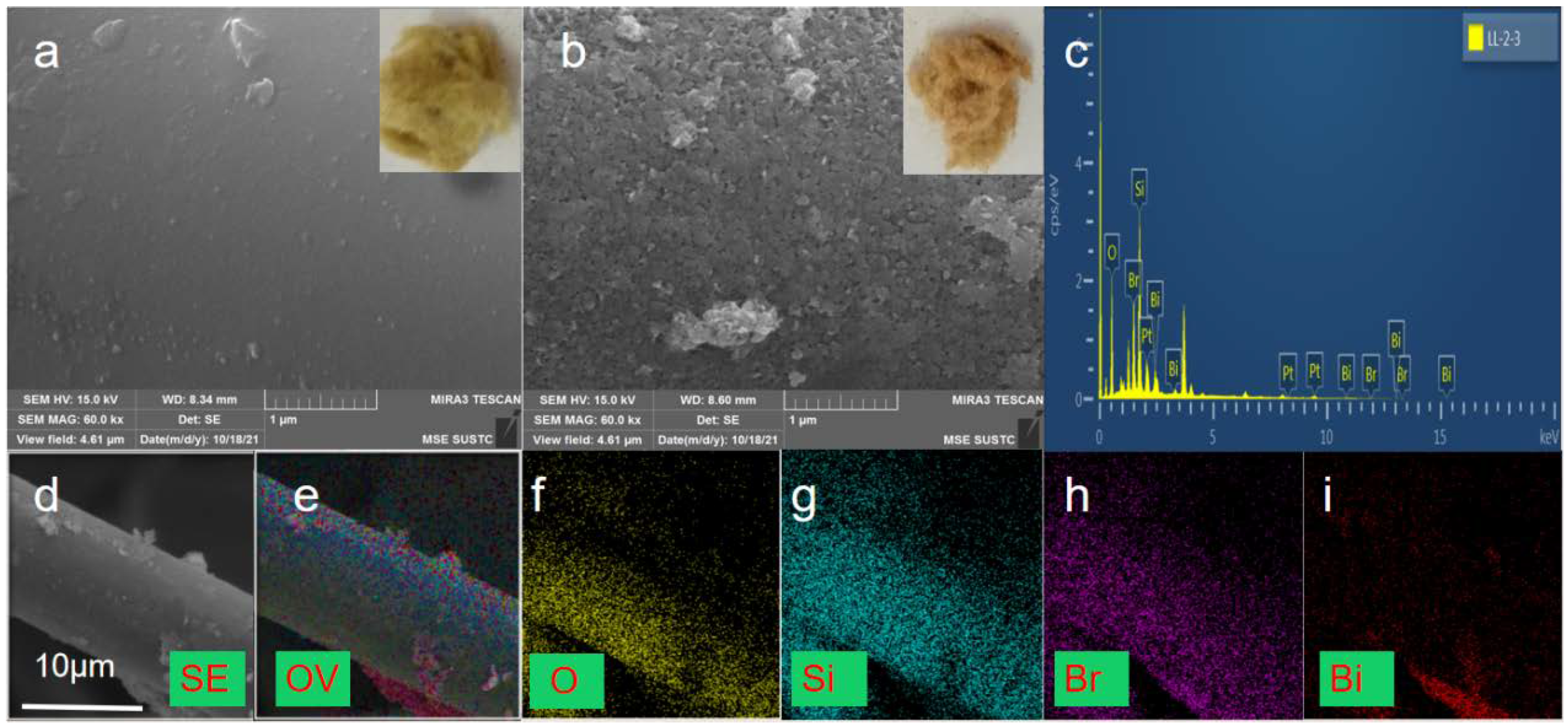 Molecules 29 03185 g001