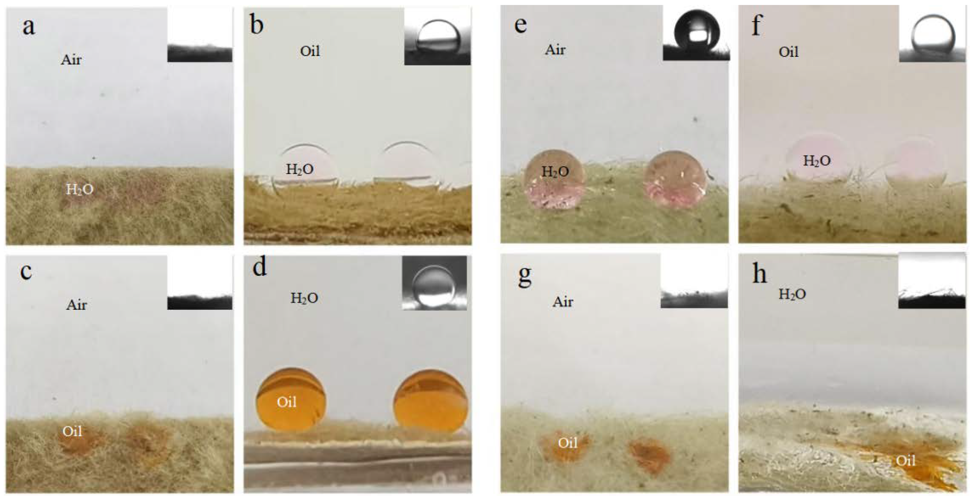 Molecules 29 03185 g003