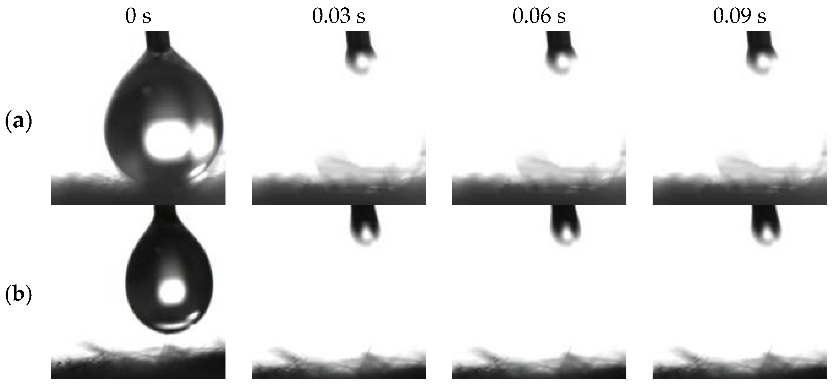 Molecules 29 03185 g004