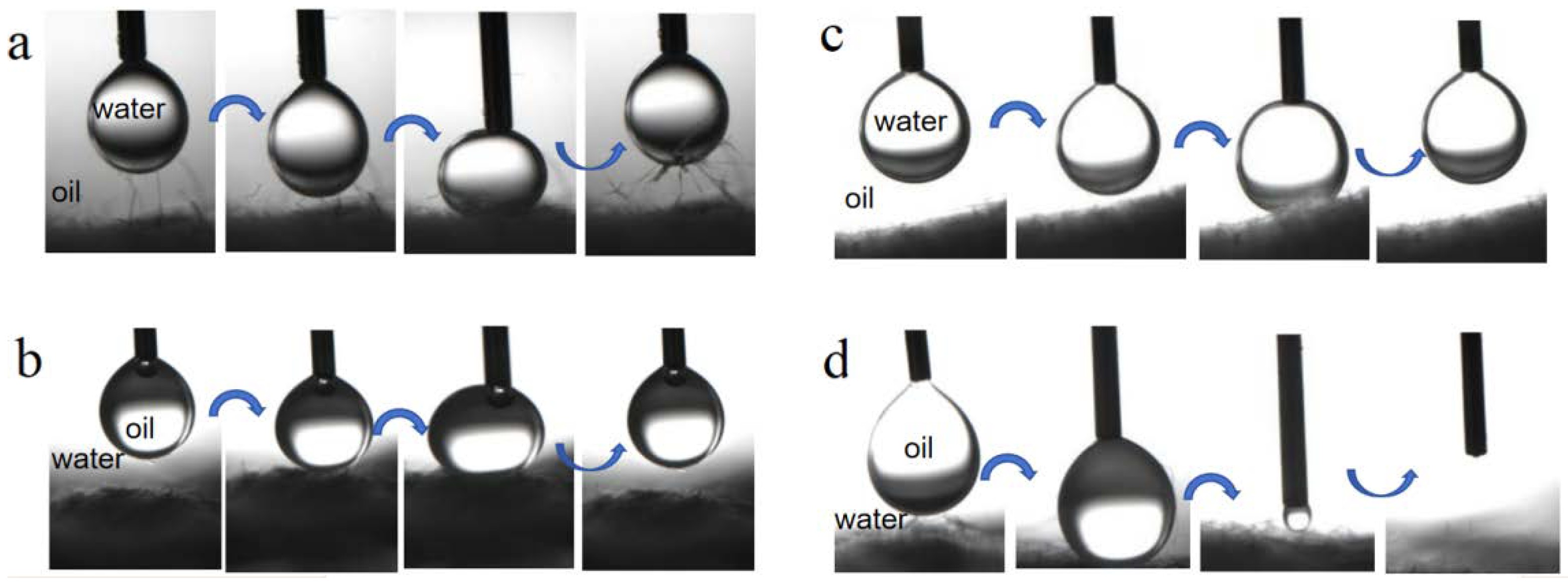 Molecules 29 03185 g006