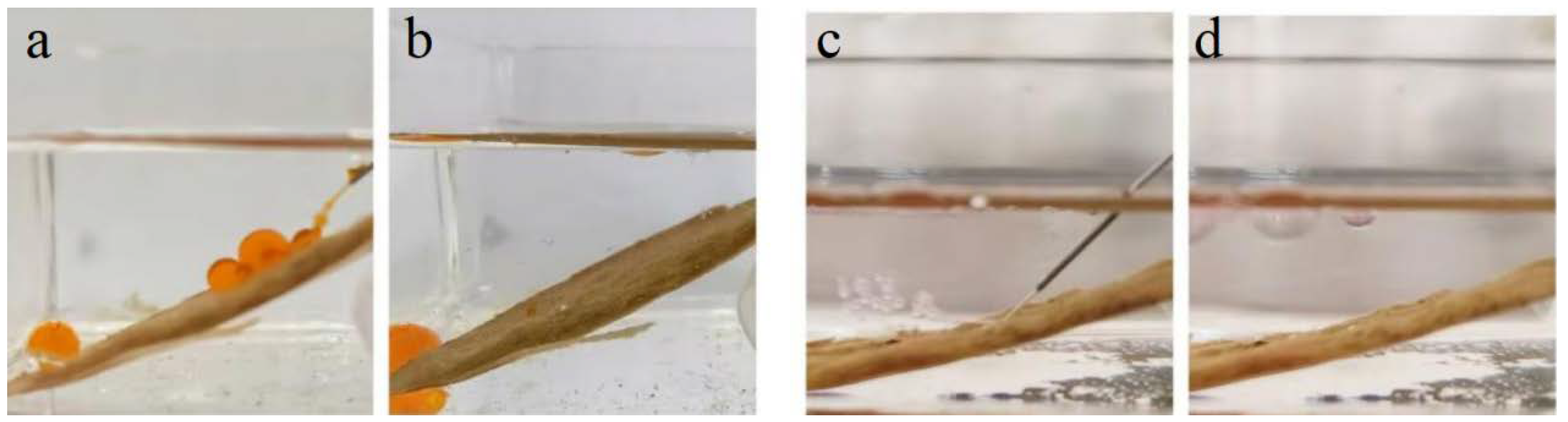 Molecules 29 03185 g007