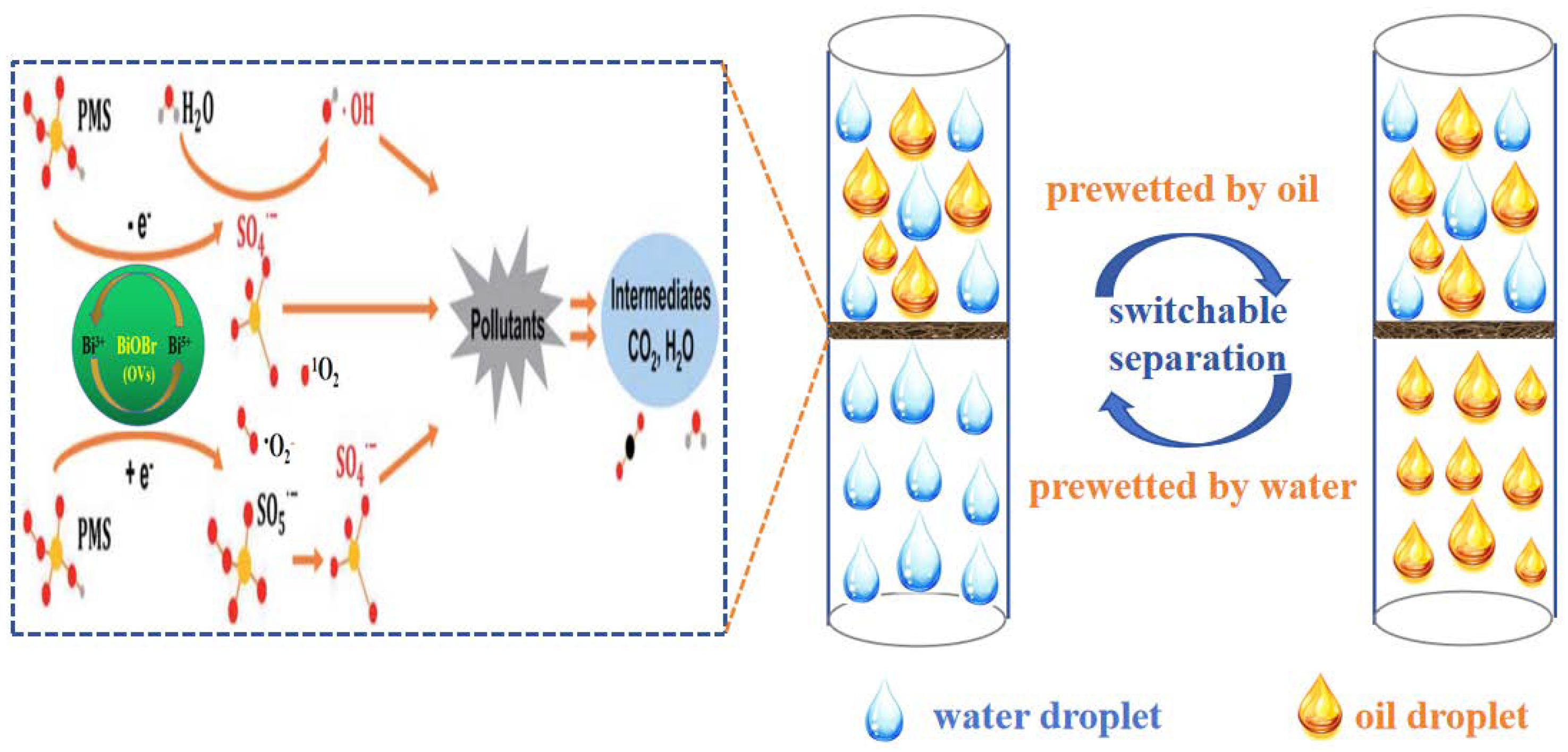 Molecules 29 03185 g014