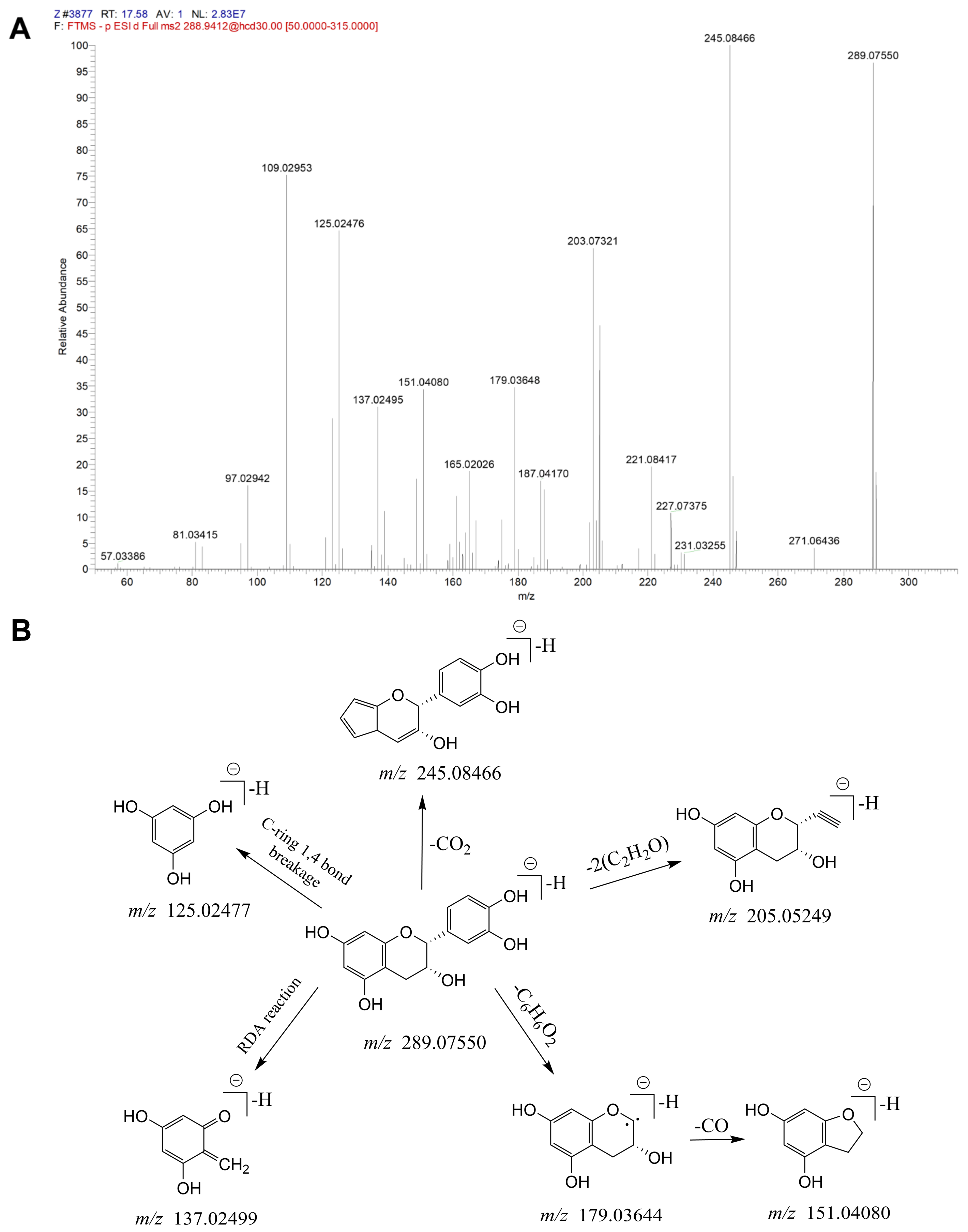 Molecules 29 03191 g003
