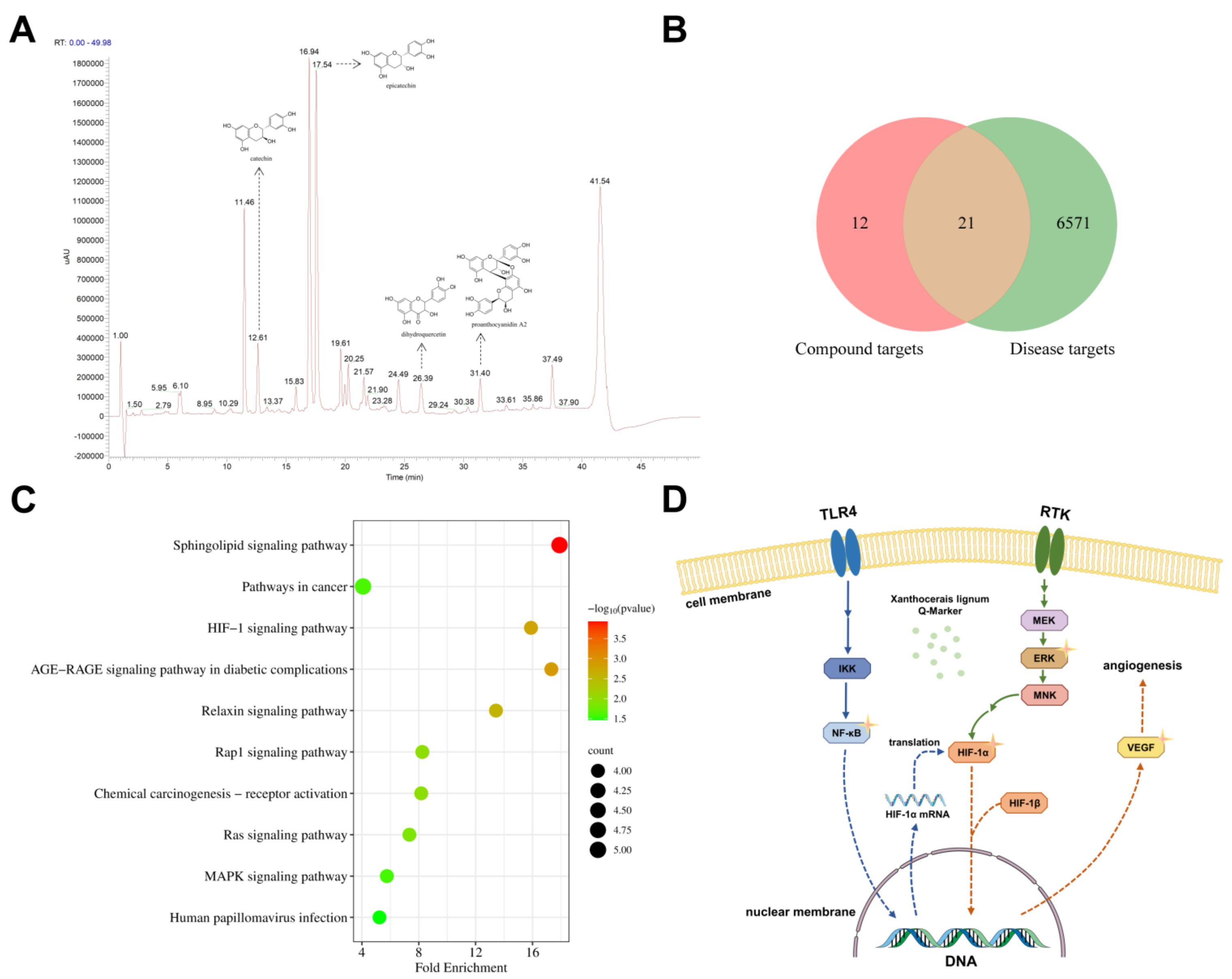 Molecules 29 03191 g008