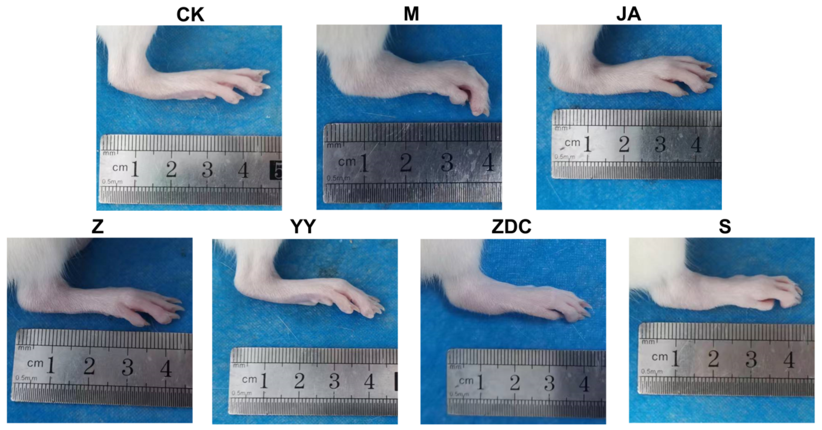 Molecules 29 03191 g010