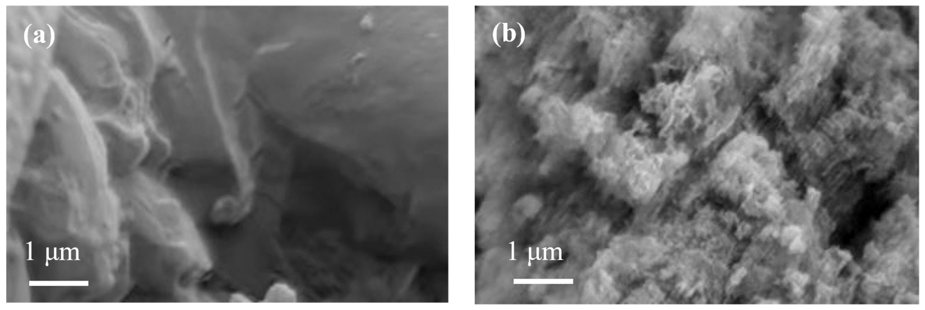 Molecules 29 03202 g006