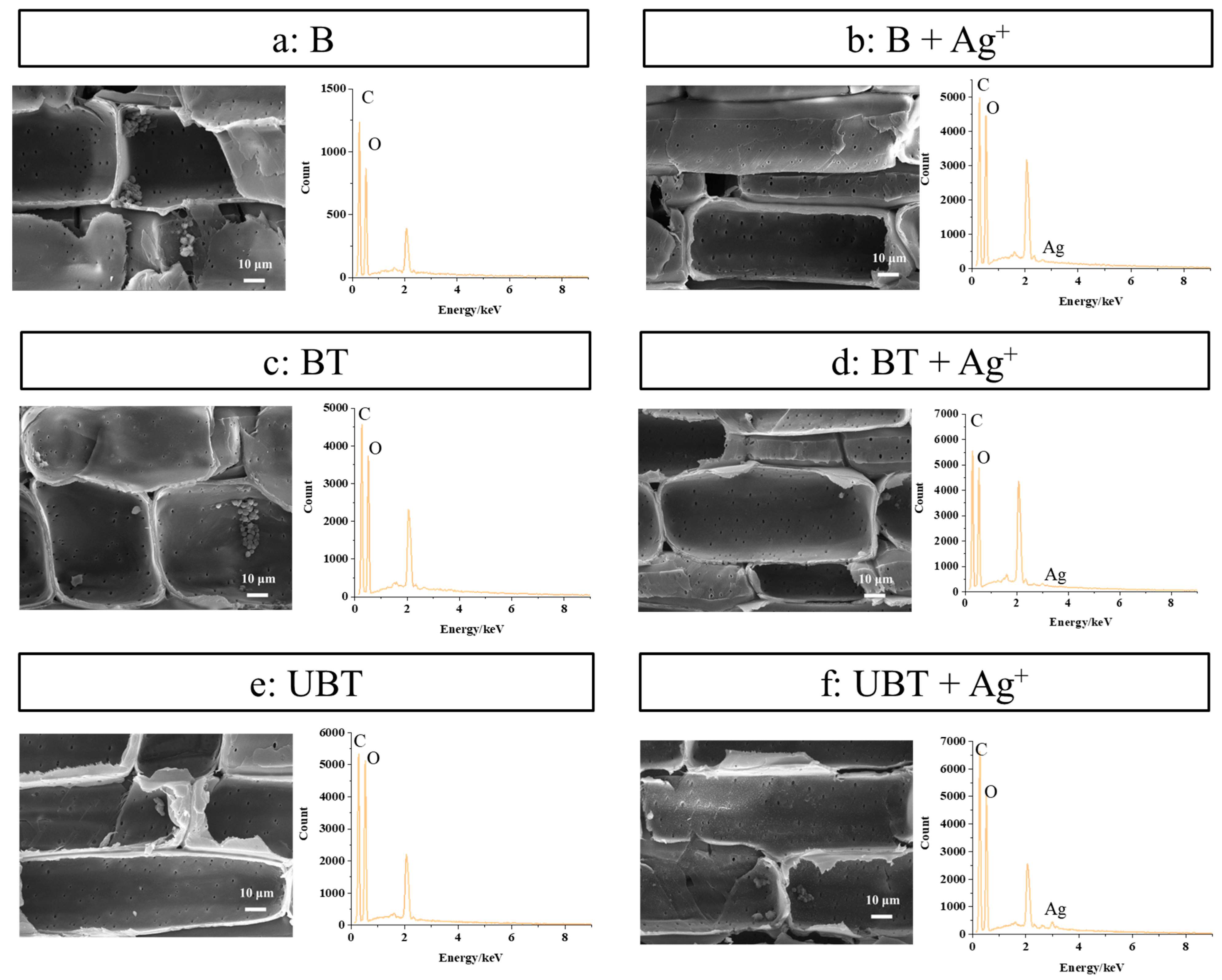 Molecules 29 03203 g006