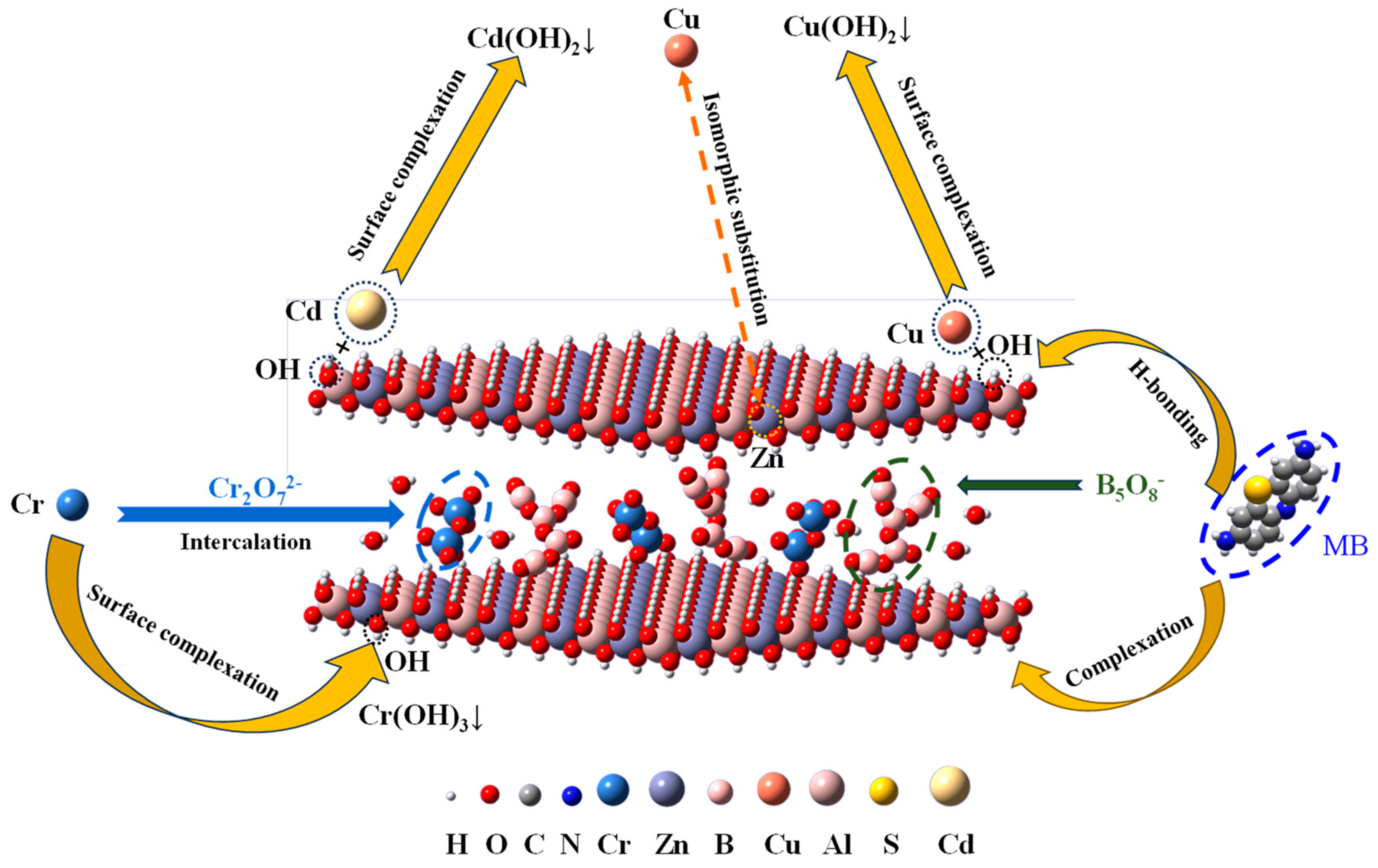 Molecules 29 03204 g006
