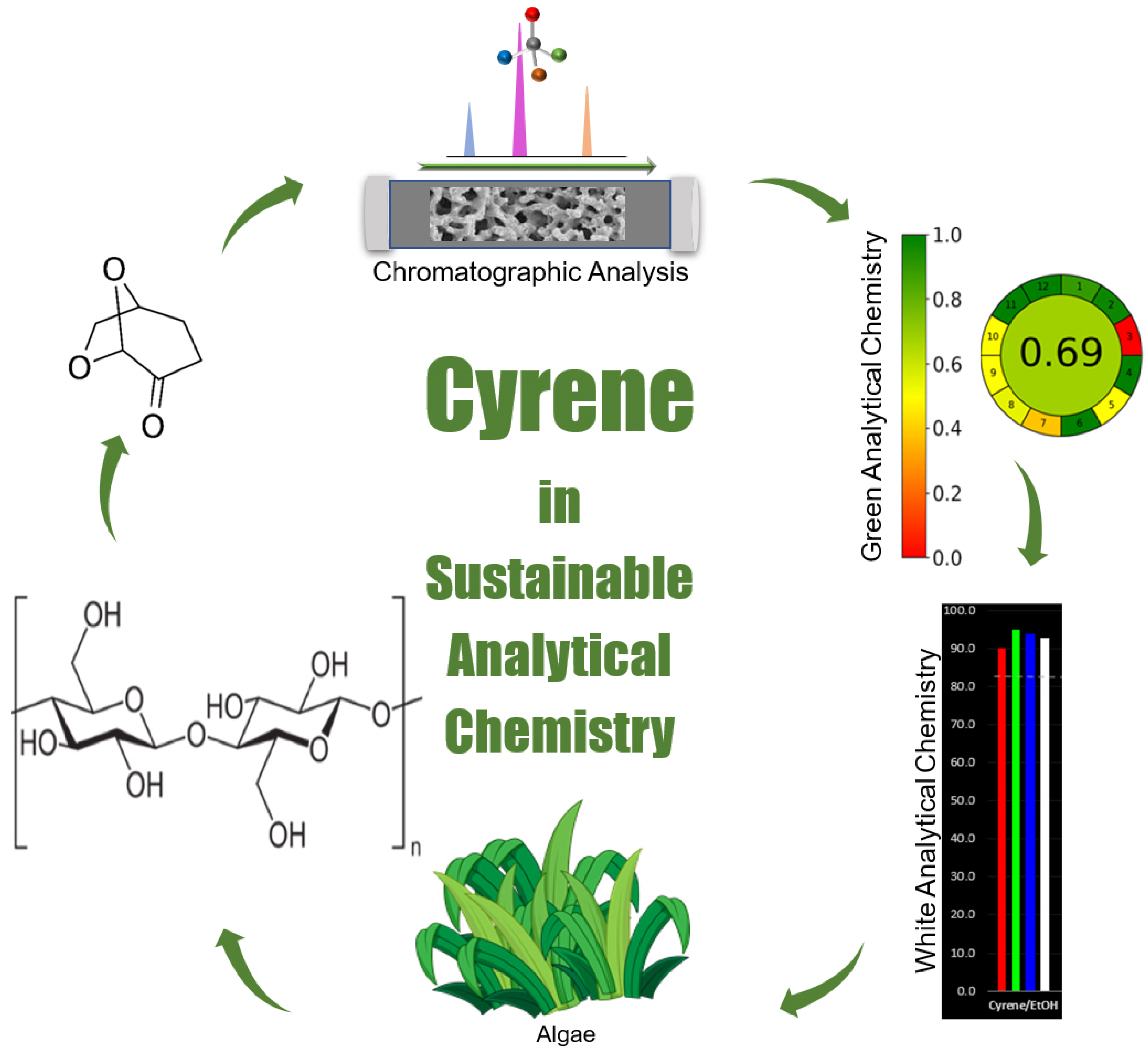 Molecules 29 03205 g004