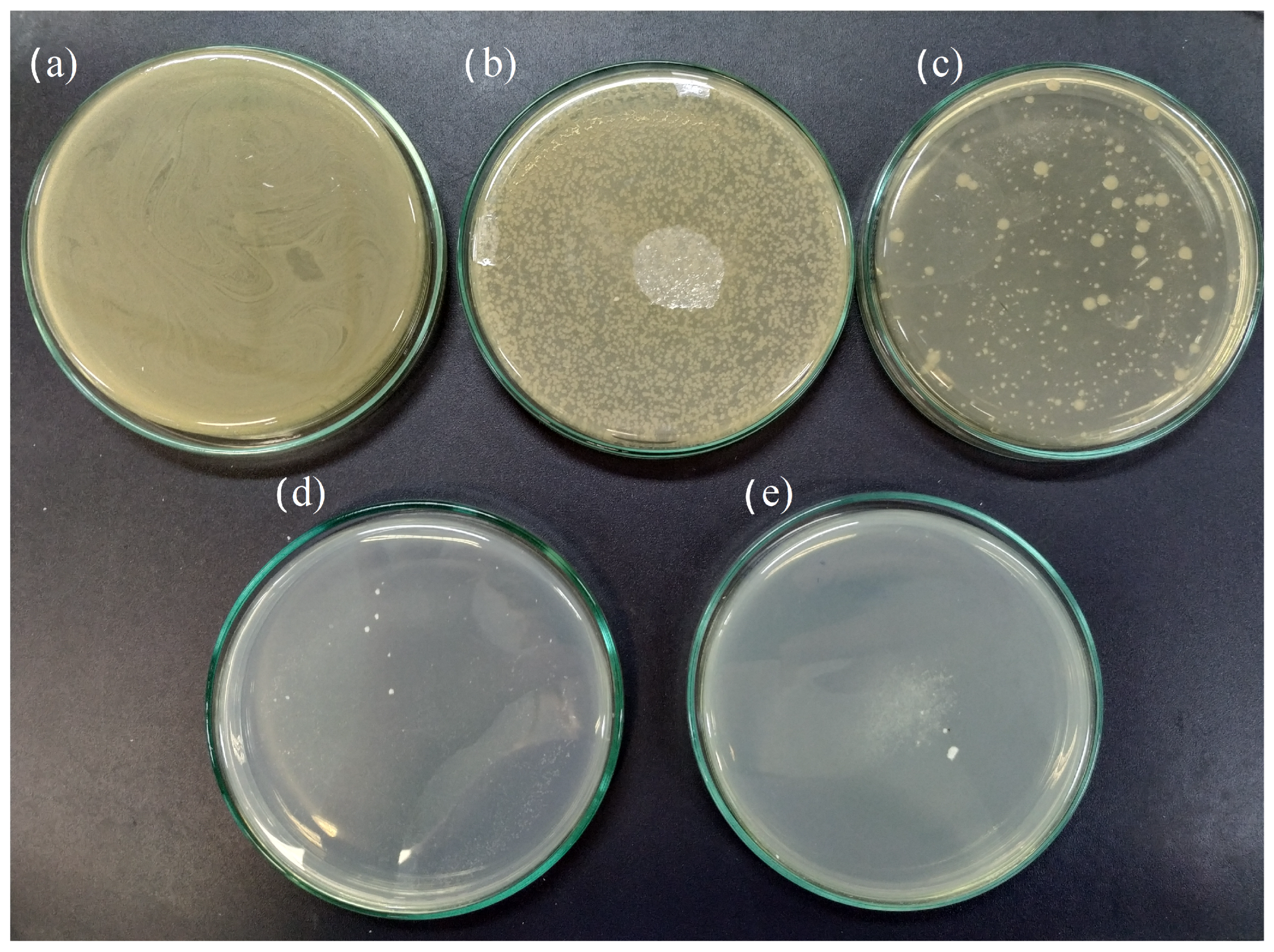 Molecules 29 03212 g006