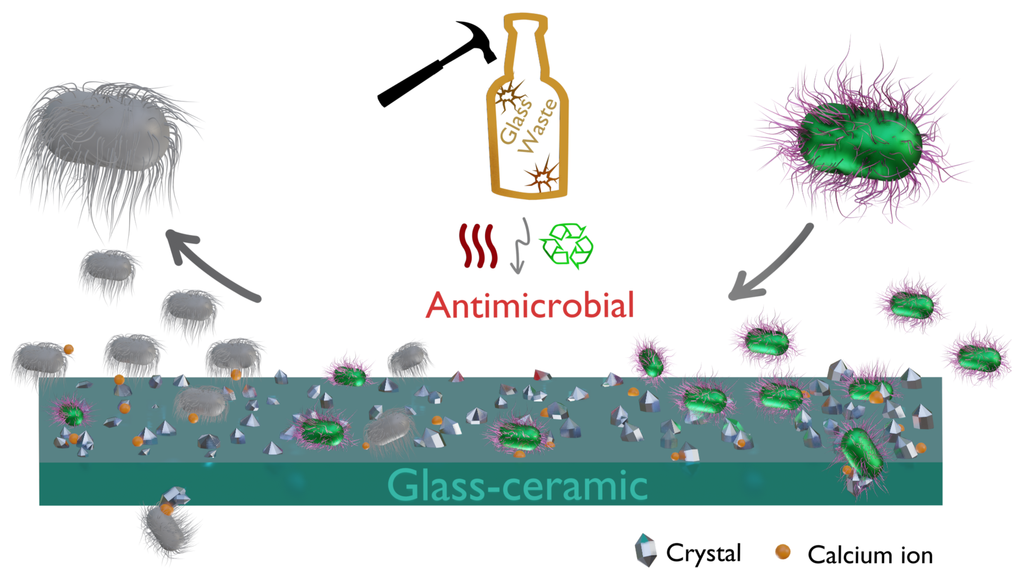Molecules 29 03212 g007