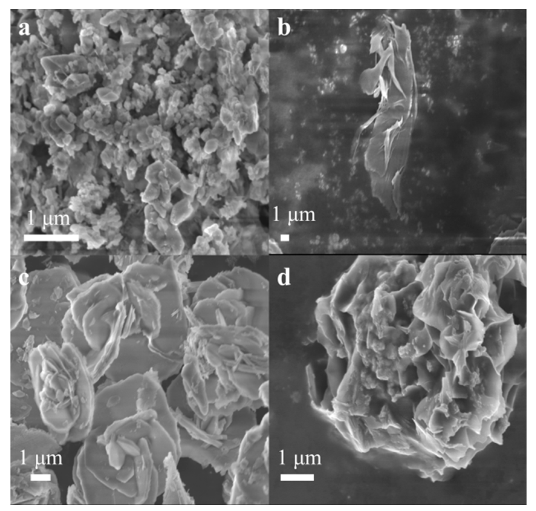Molecules 29 03213 g006