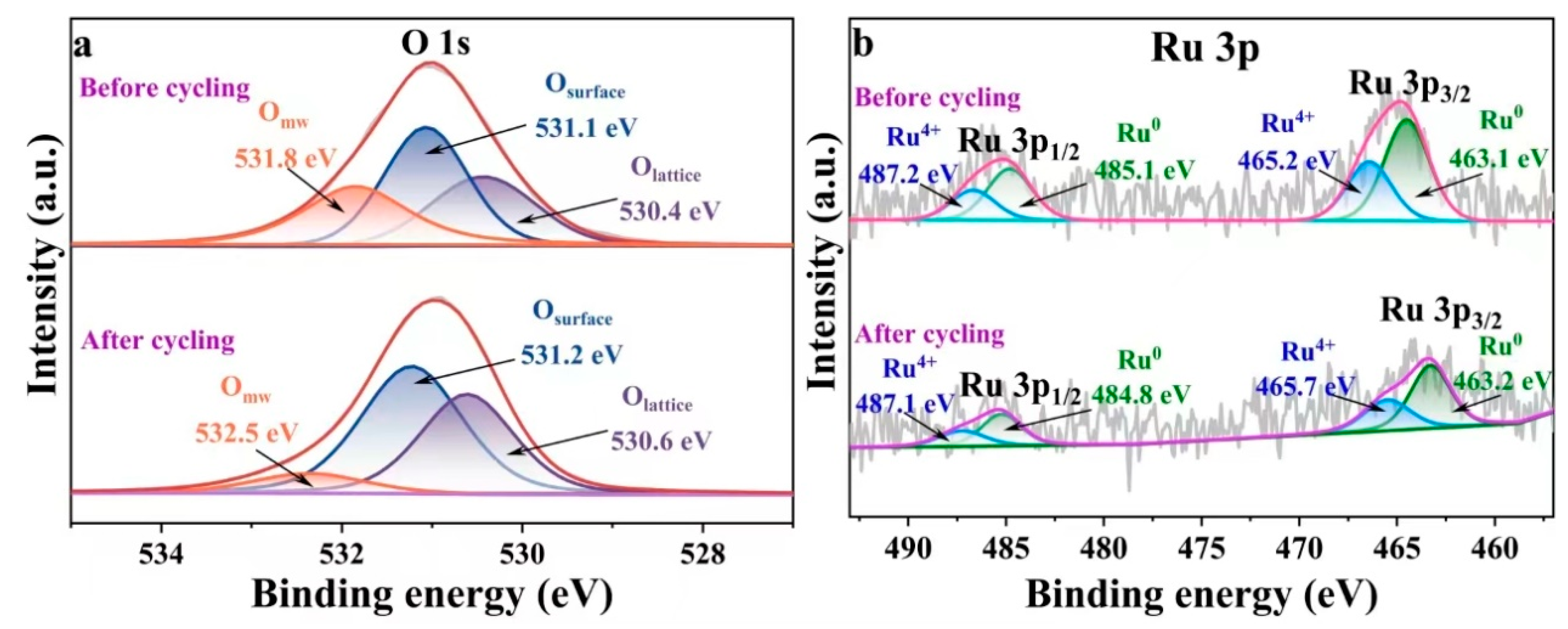 Molecules 29 03213 g010
