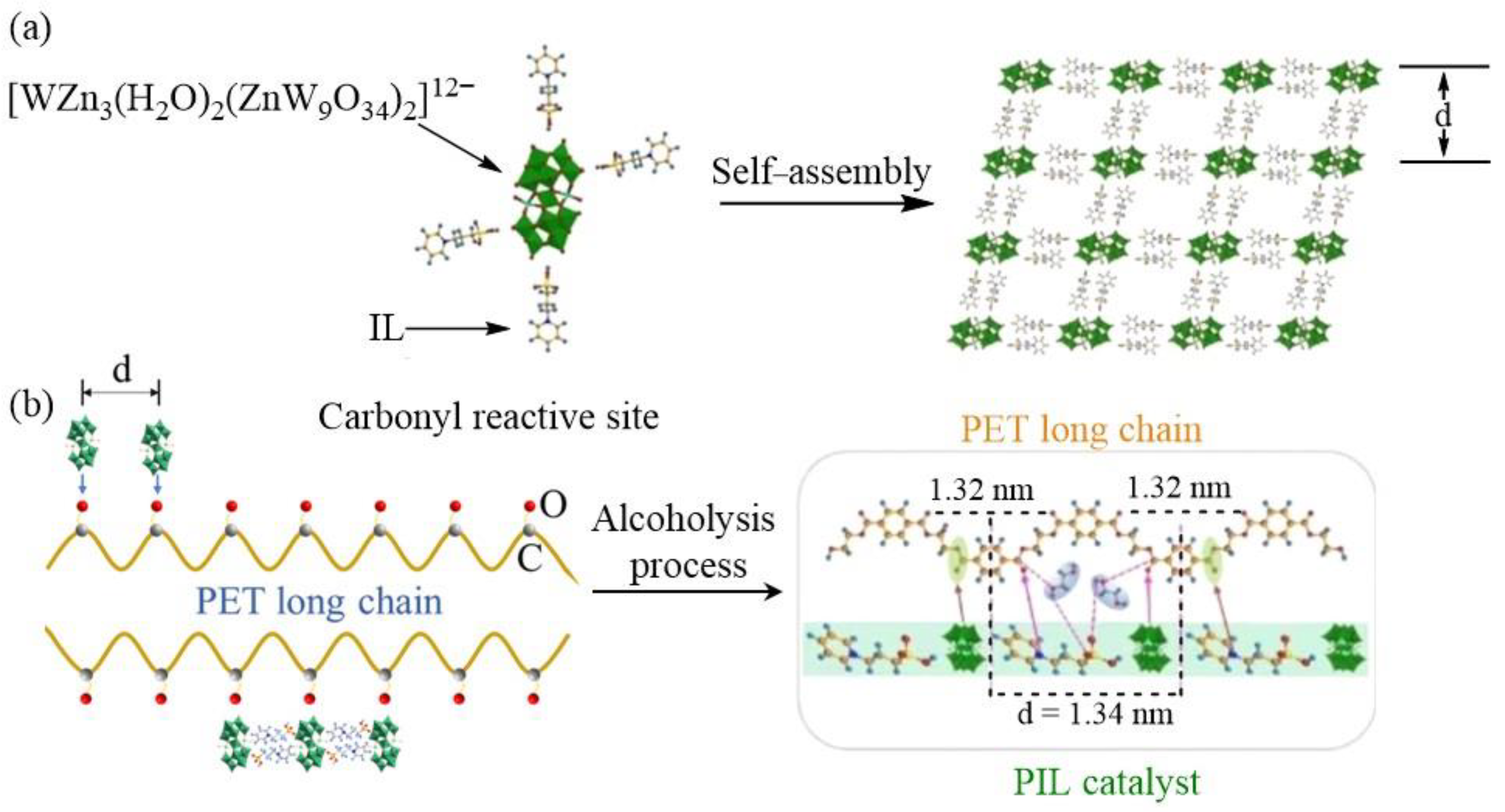 Molecules 29 03216 g005
